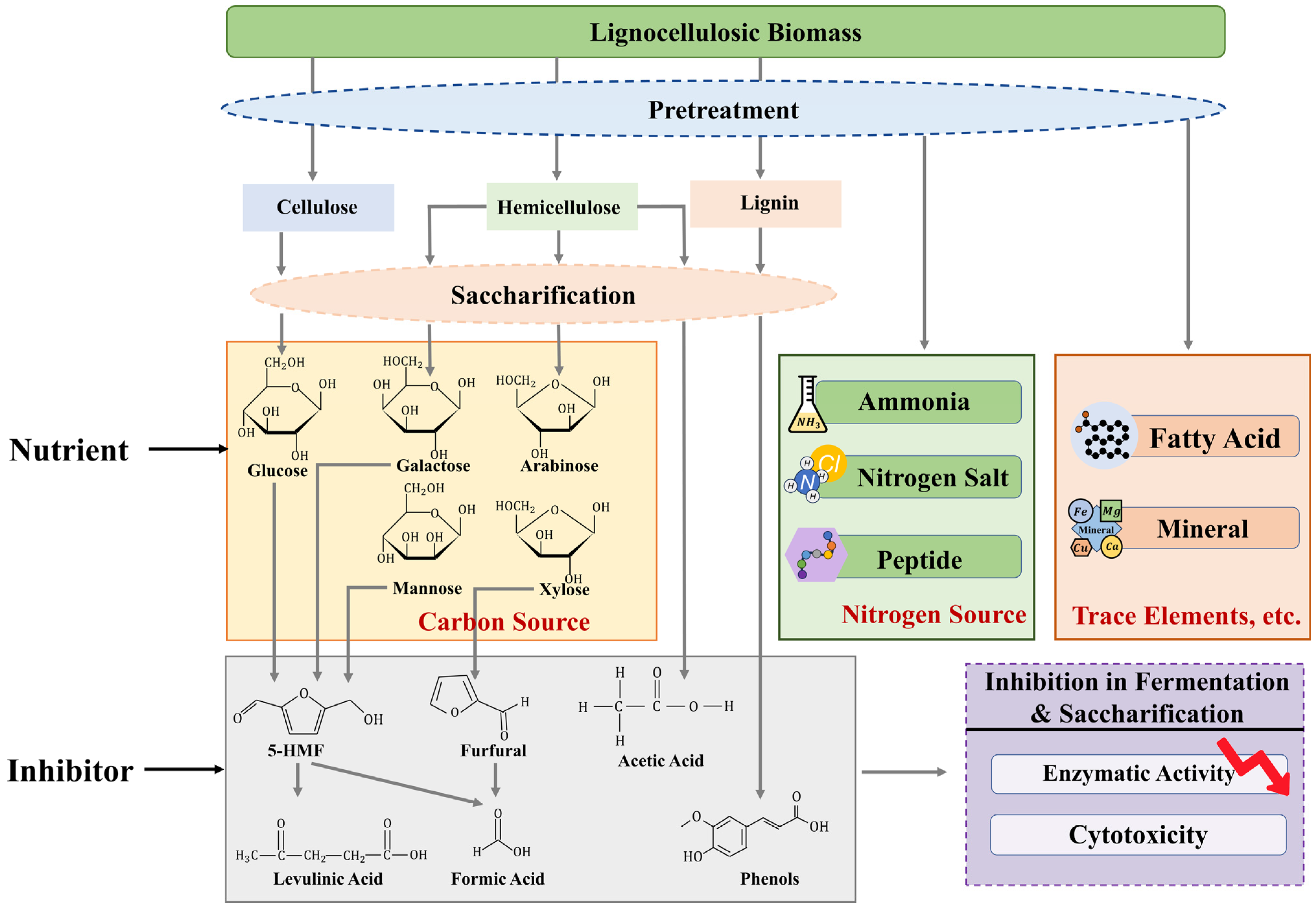 Molecules 29 02275 g001 Molecules 29 02275 g001