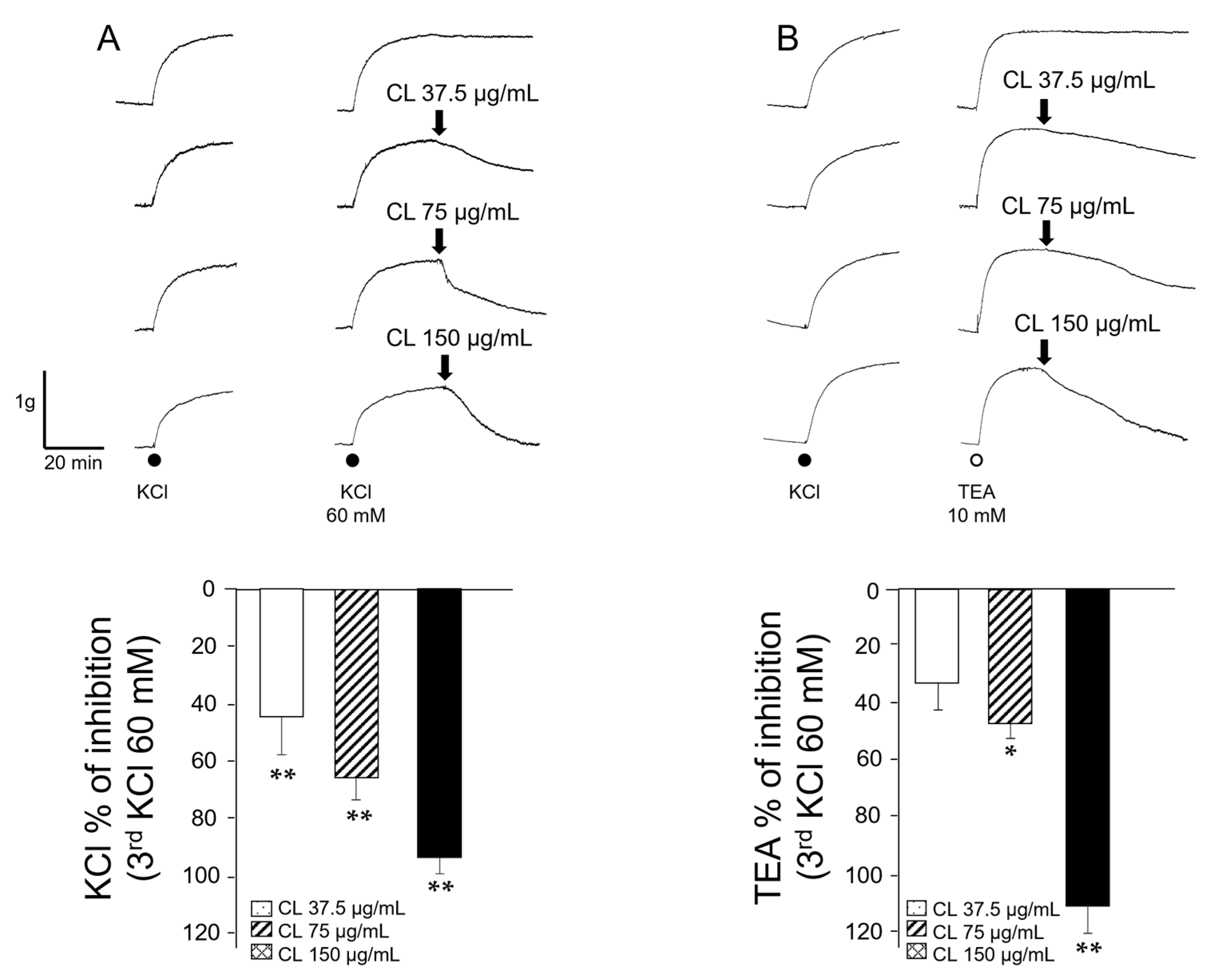Molecules 29 02284 g001 Molecules 29 02284 g001