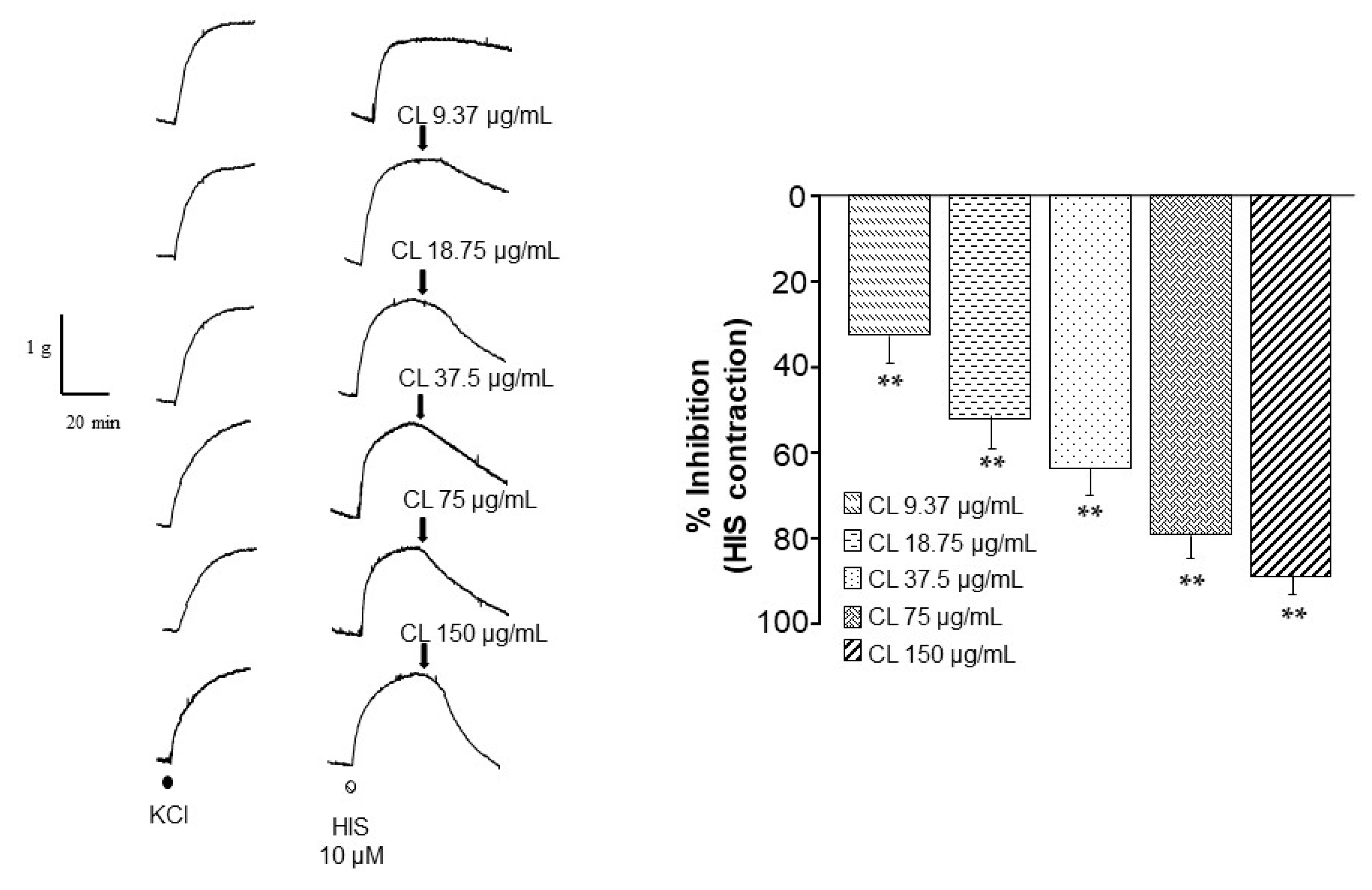 Molecules 29 02284 g002 Molecules 29 02284 g002