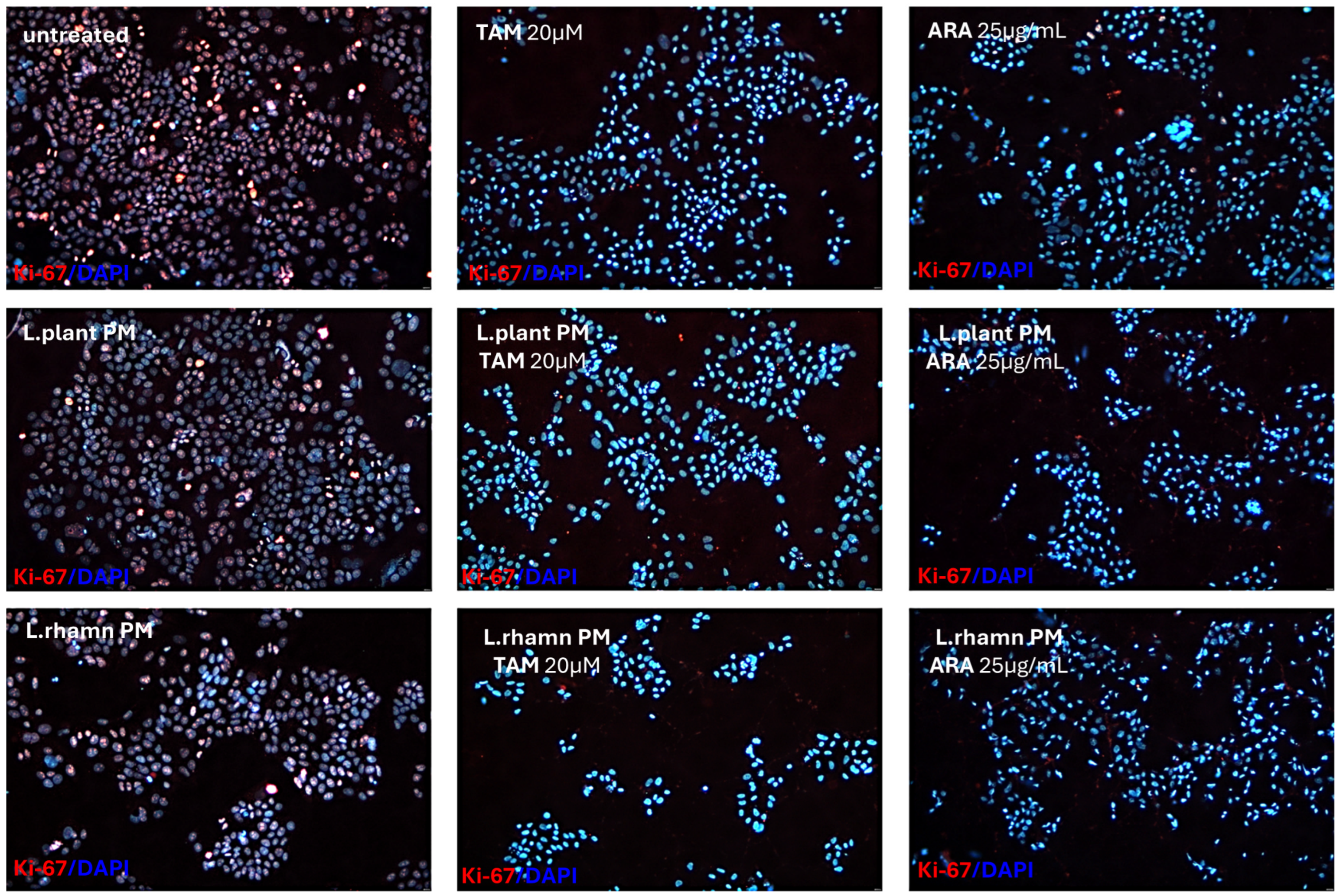 Molecules 29 02292 g008