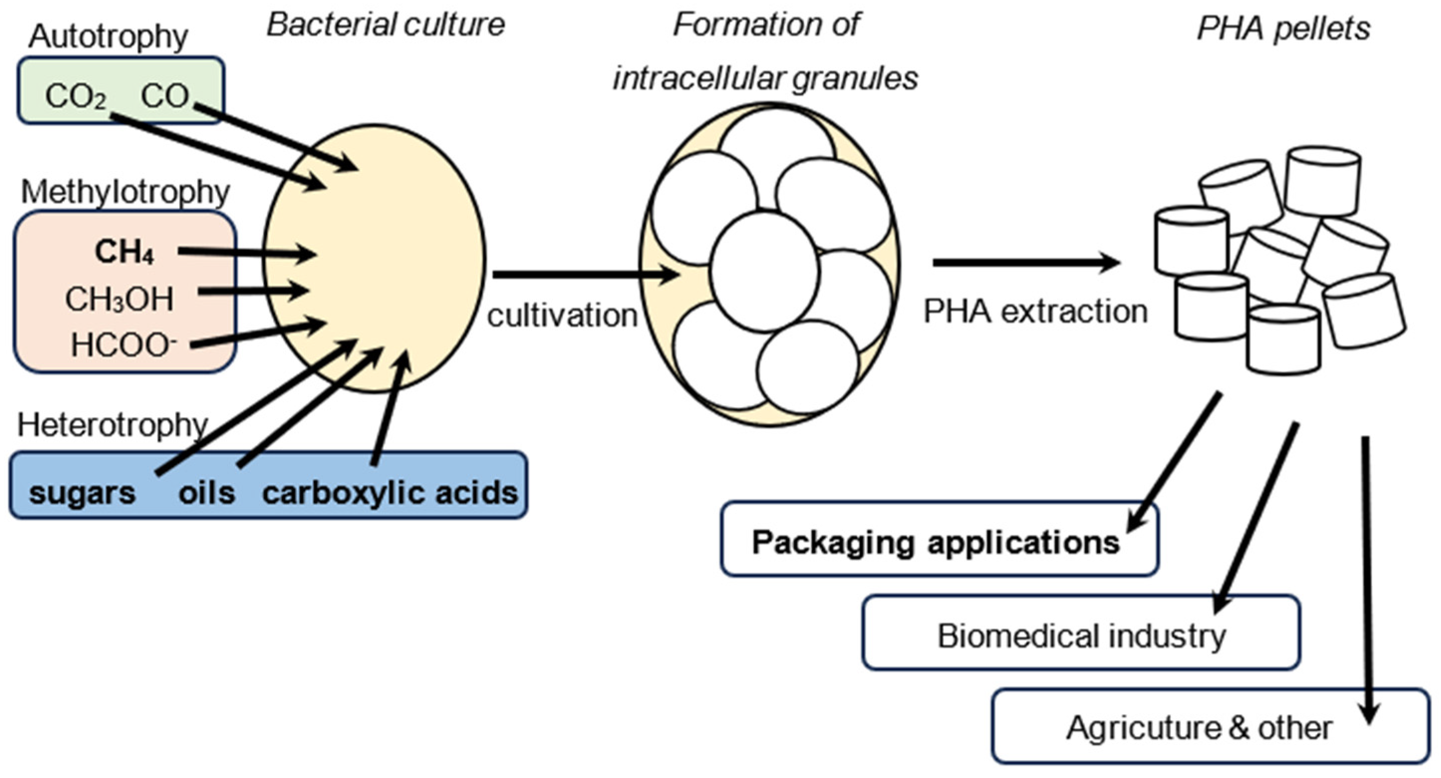 Molecules 29 02293 g002