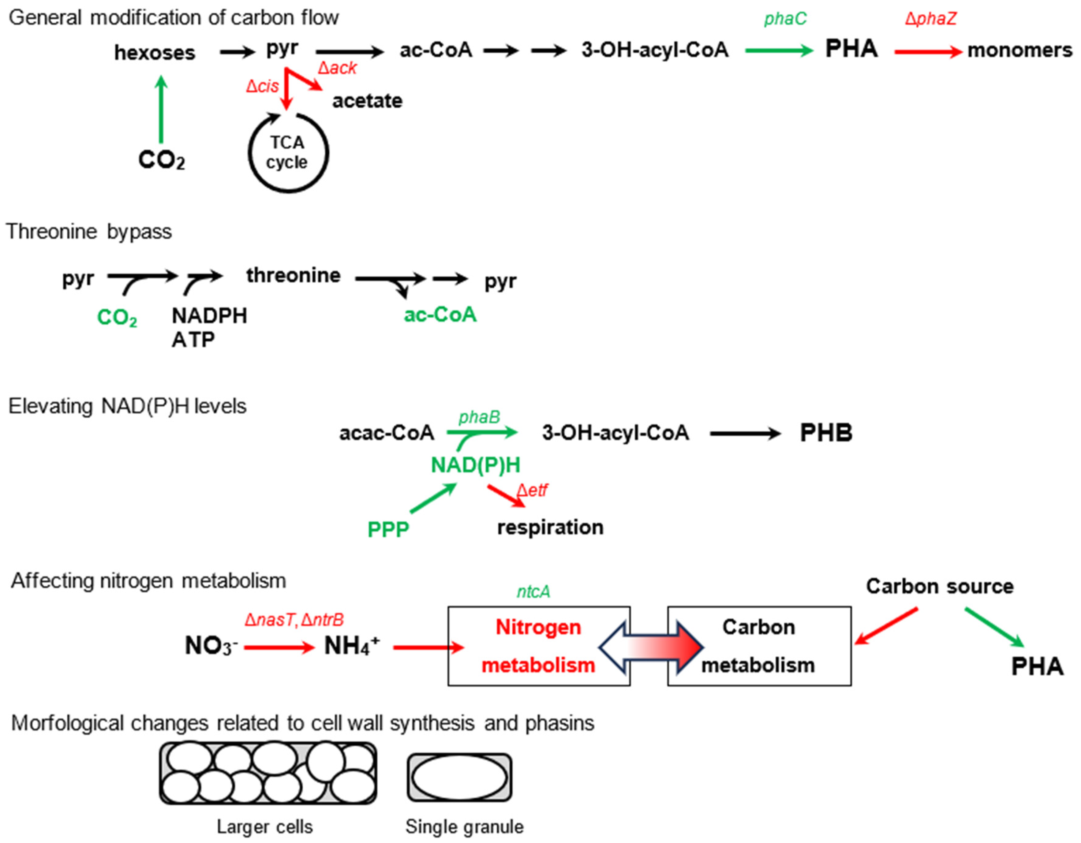 Molecules 29 02293 g004a