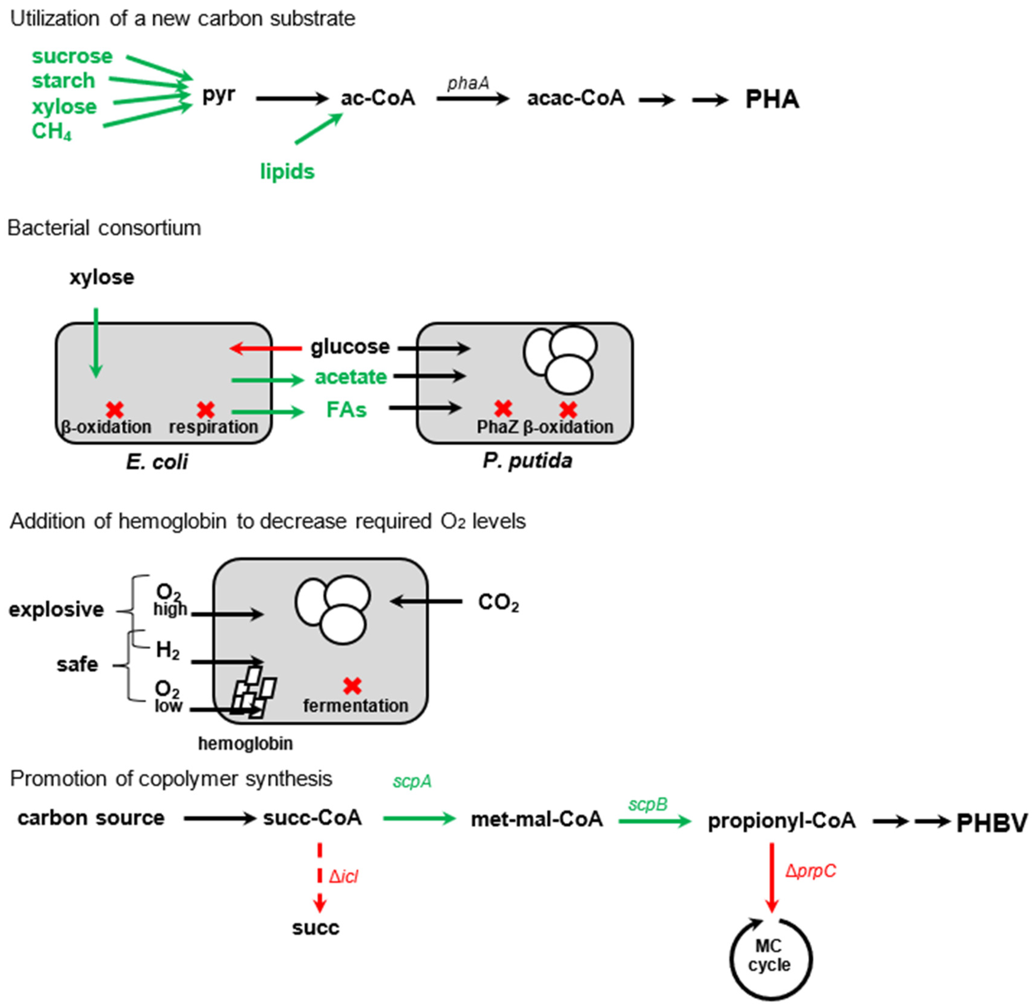Molecules 29 02293 g004b