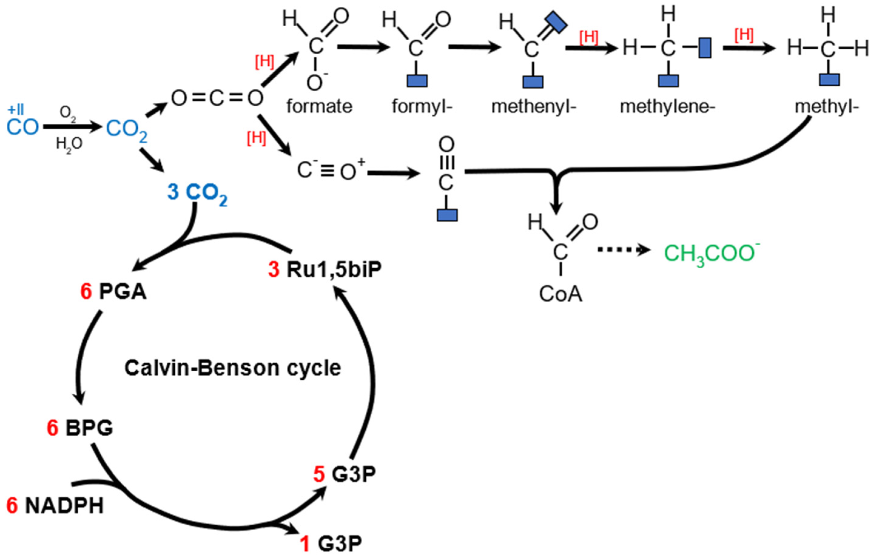 Molecules 29 02293 g005