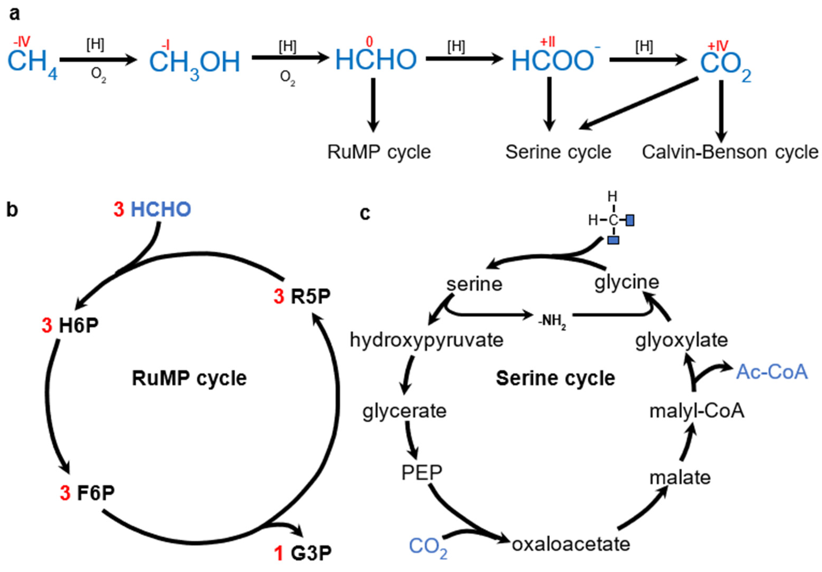 Molecules 29 02293 g006