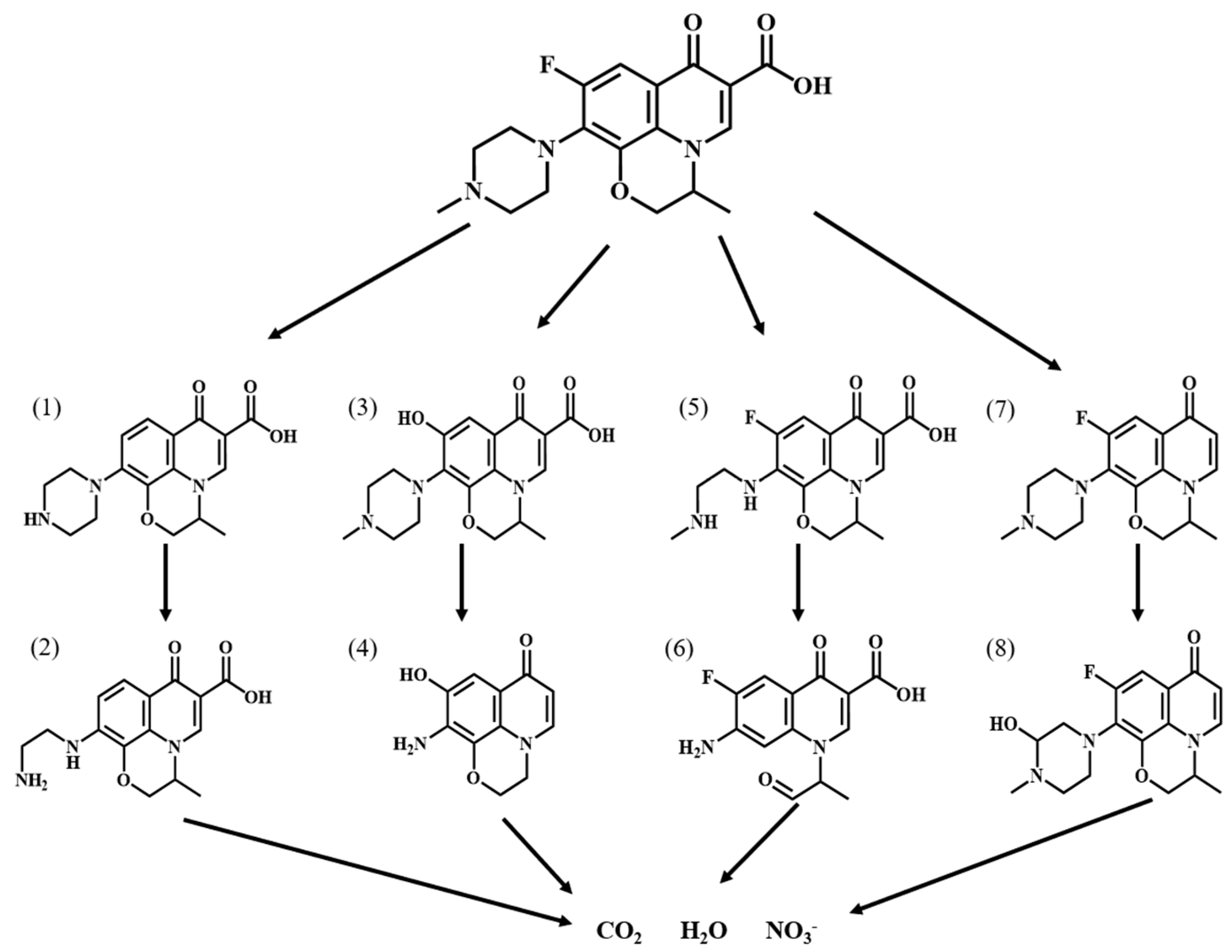 Molecules 29 02294 g011
