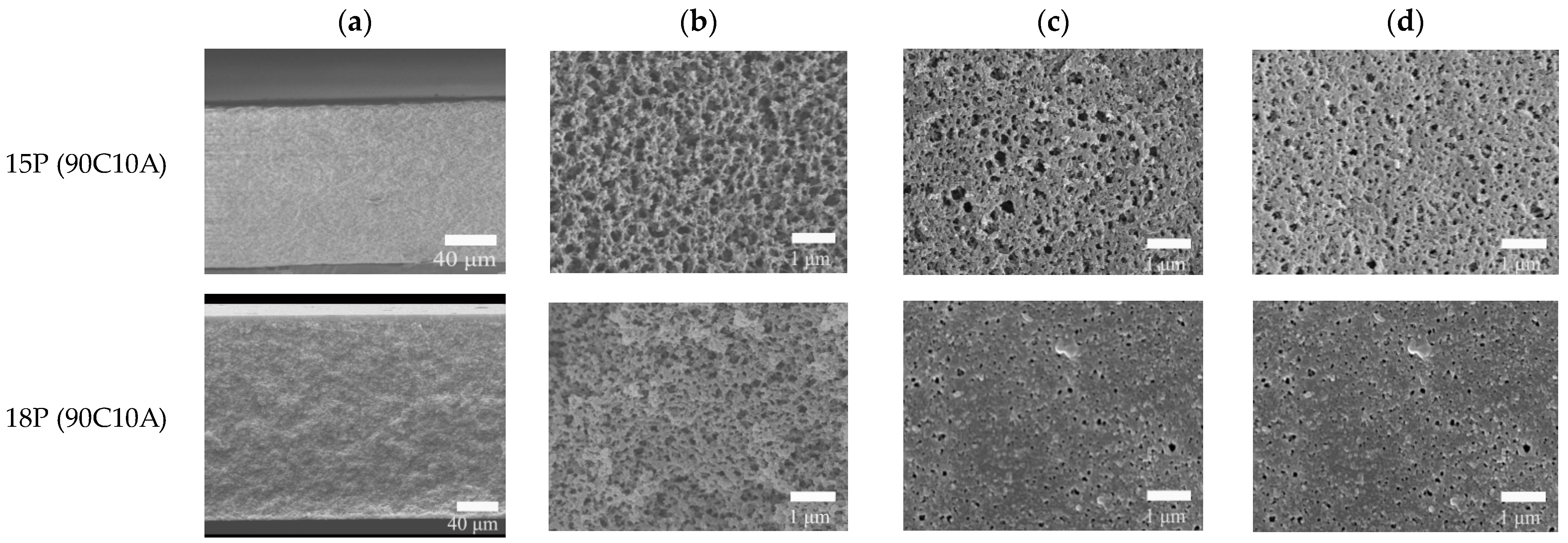 Molecules 29 02302 g004