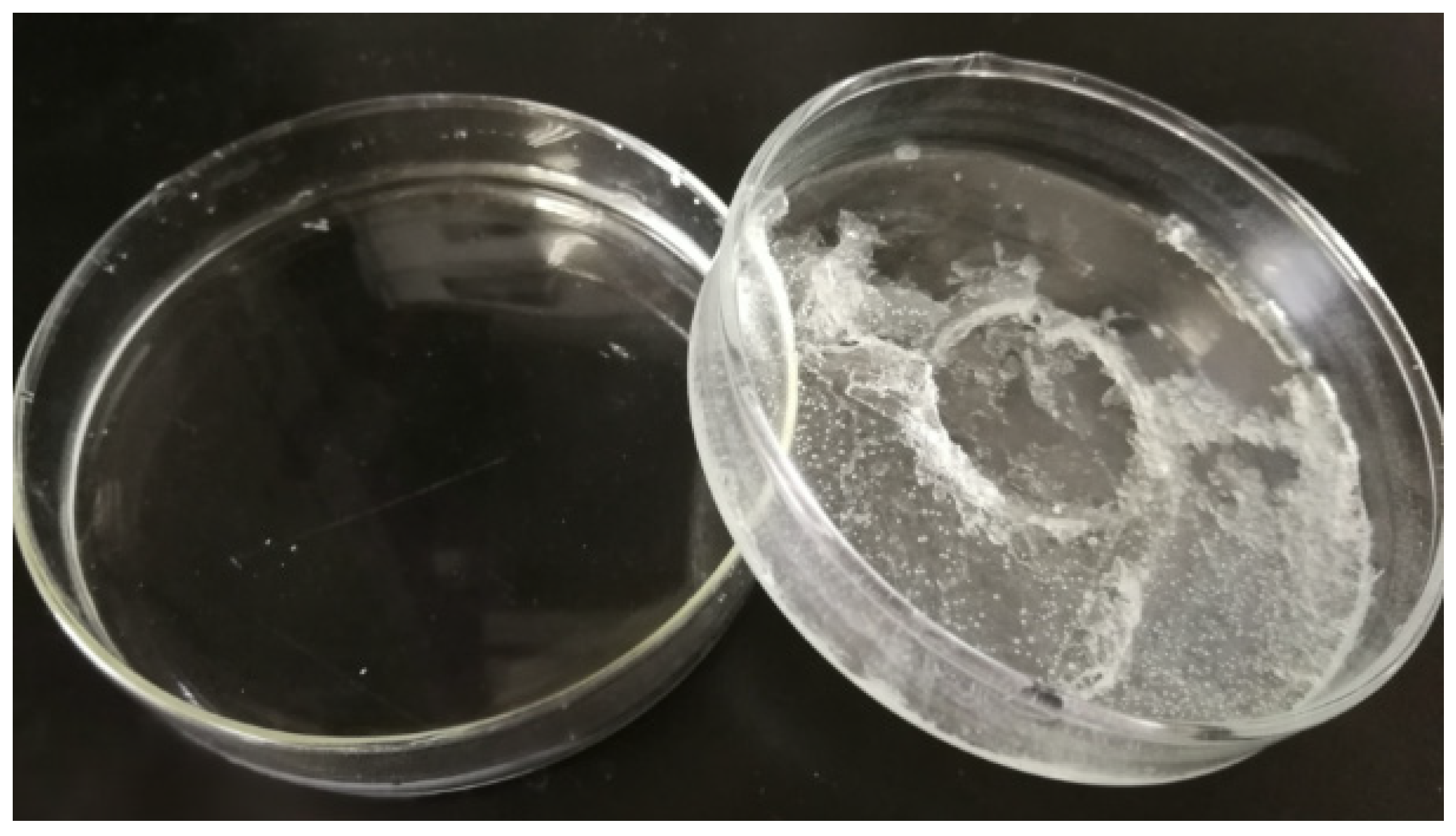 Molecules 29 02302 g015