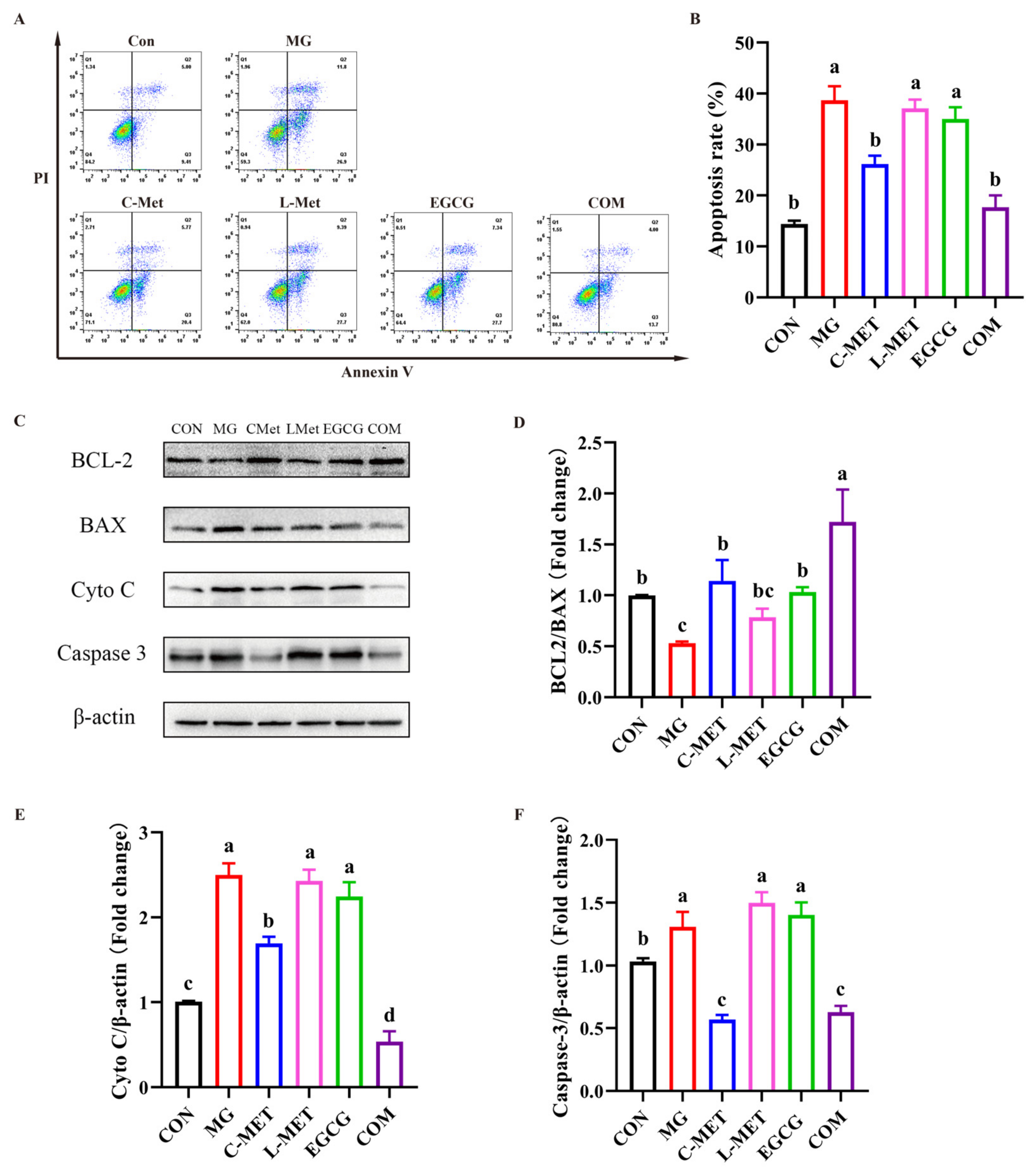 Molecules 29 02306 g004
