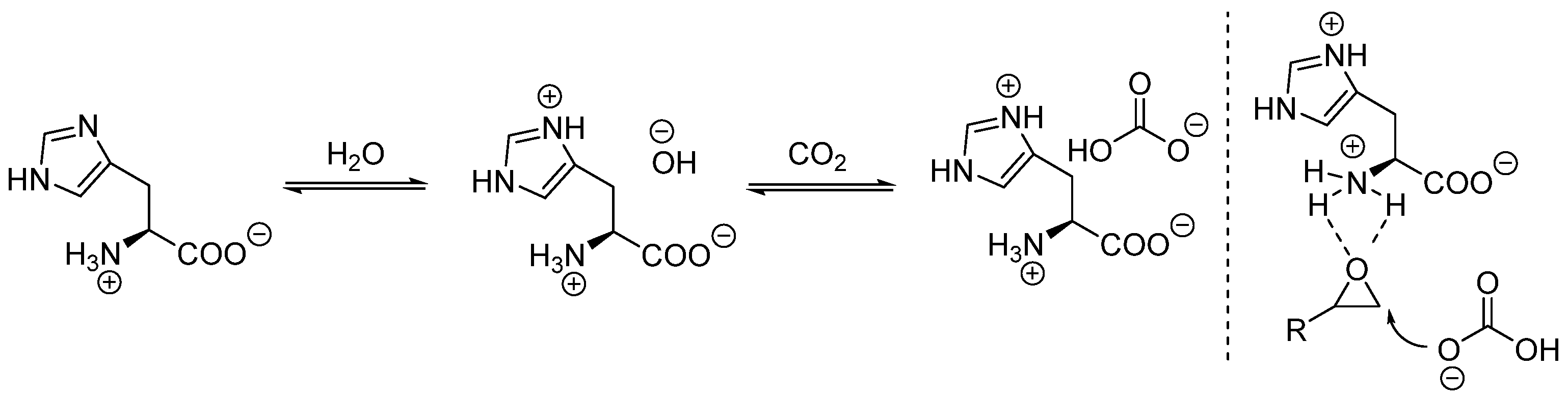 Molecules 29 02307 sch003