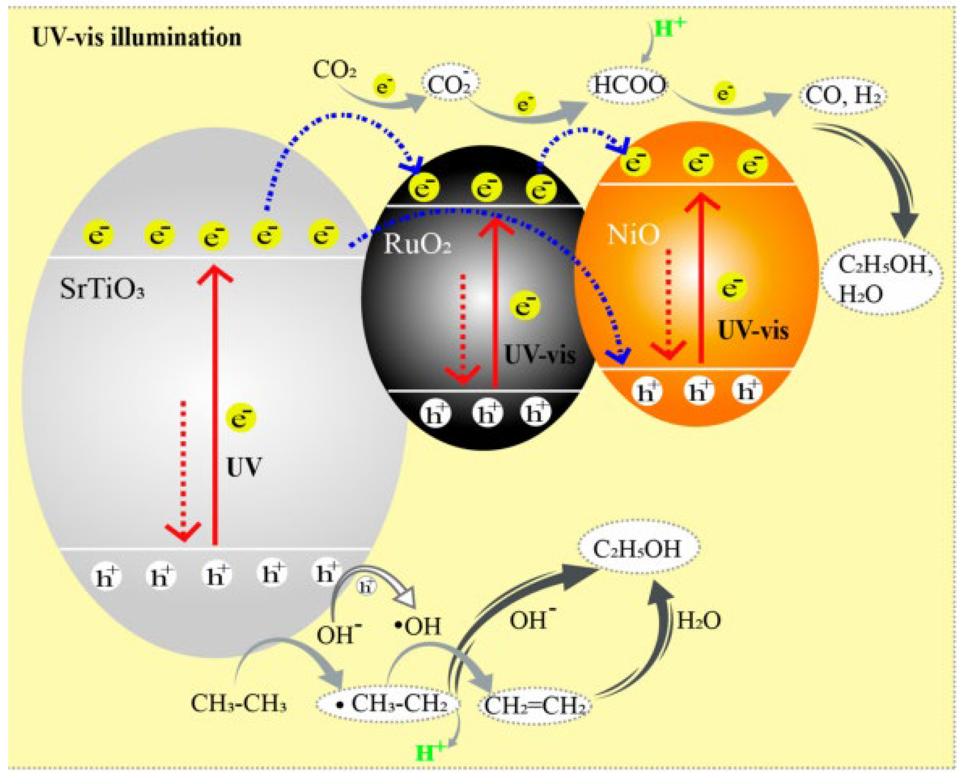 Molecules 29 02308 g005