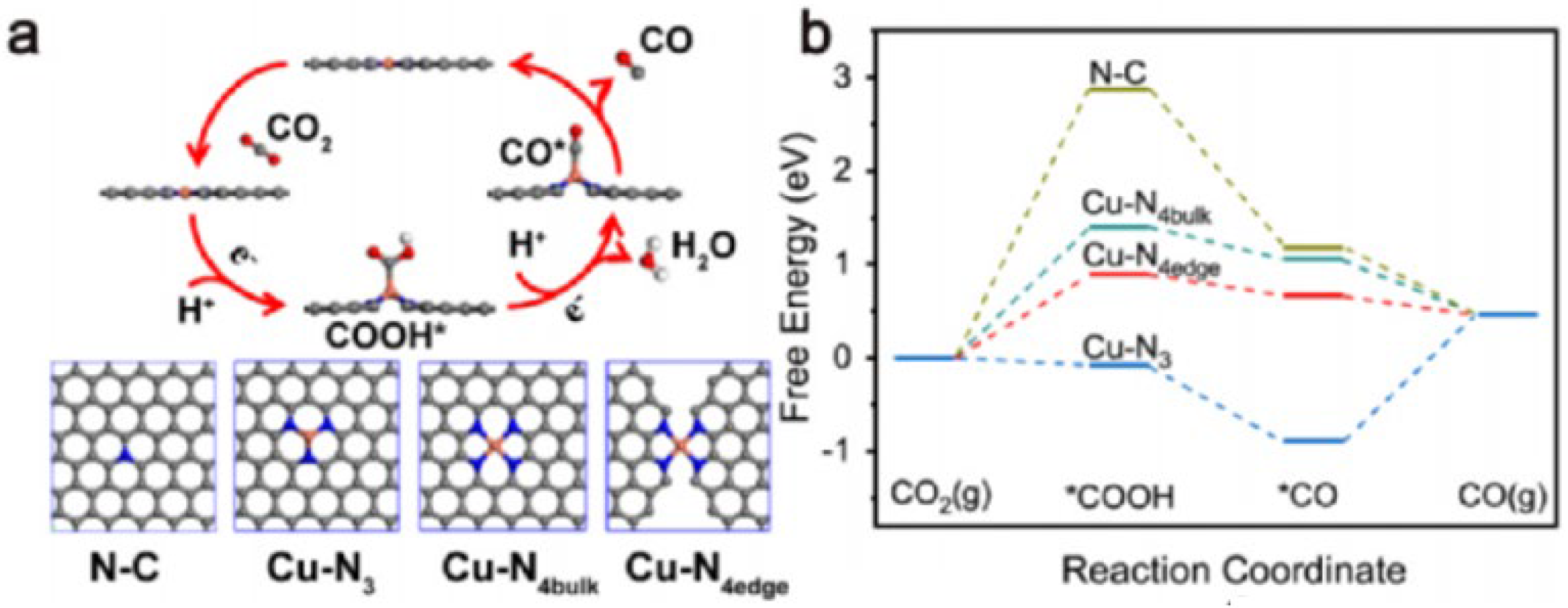 Molecules 29 02308 g006