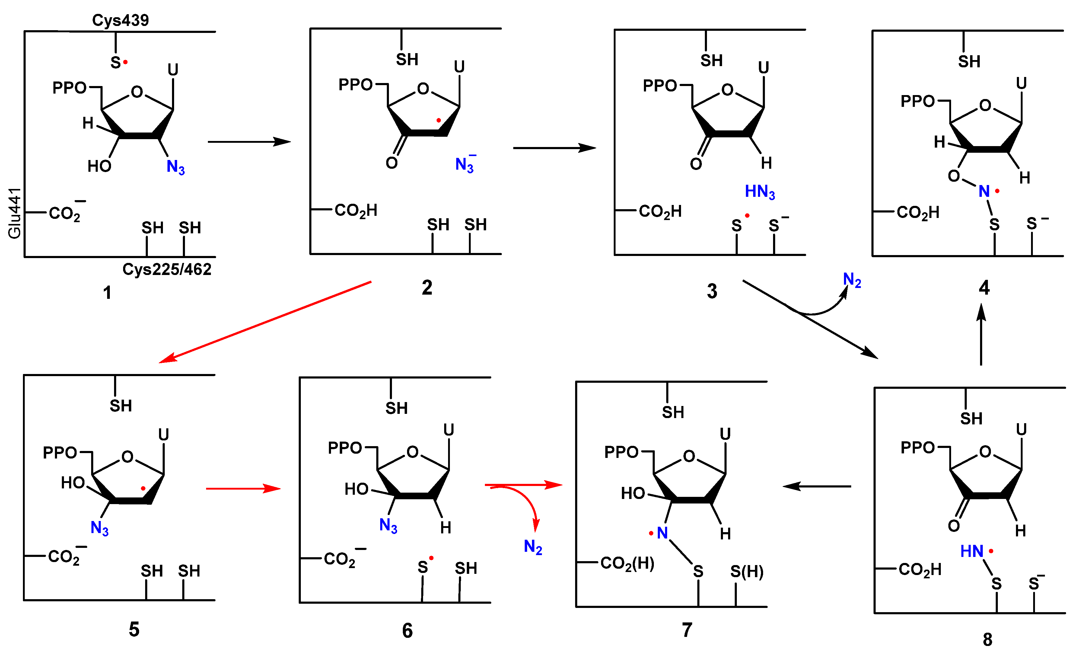 Molecules 29 02310 g001 Molecules 29 02310 g001