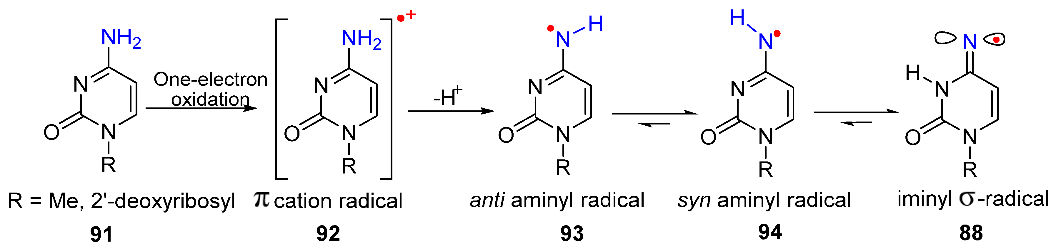 Molecules 29 02310 g017 Molecules 29 02310 g017