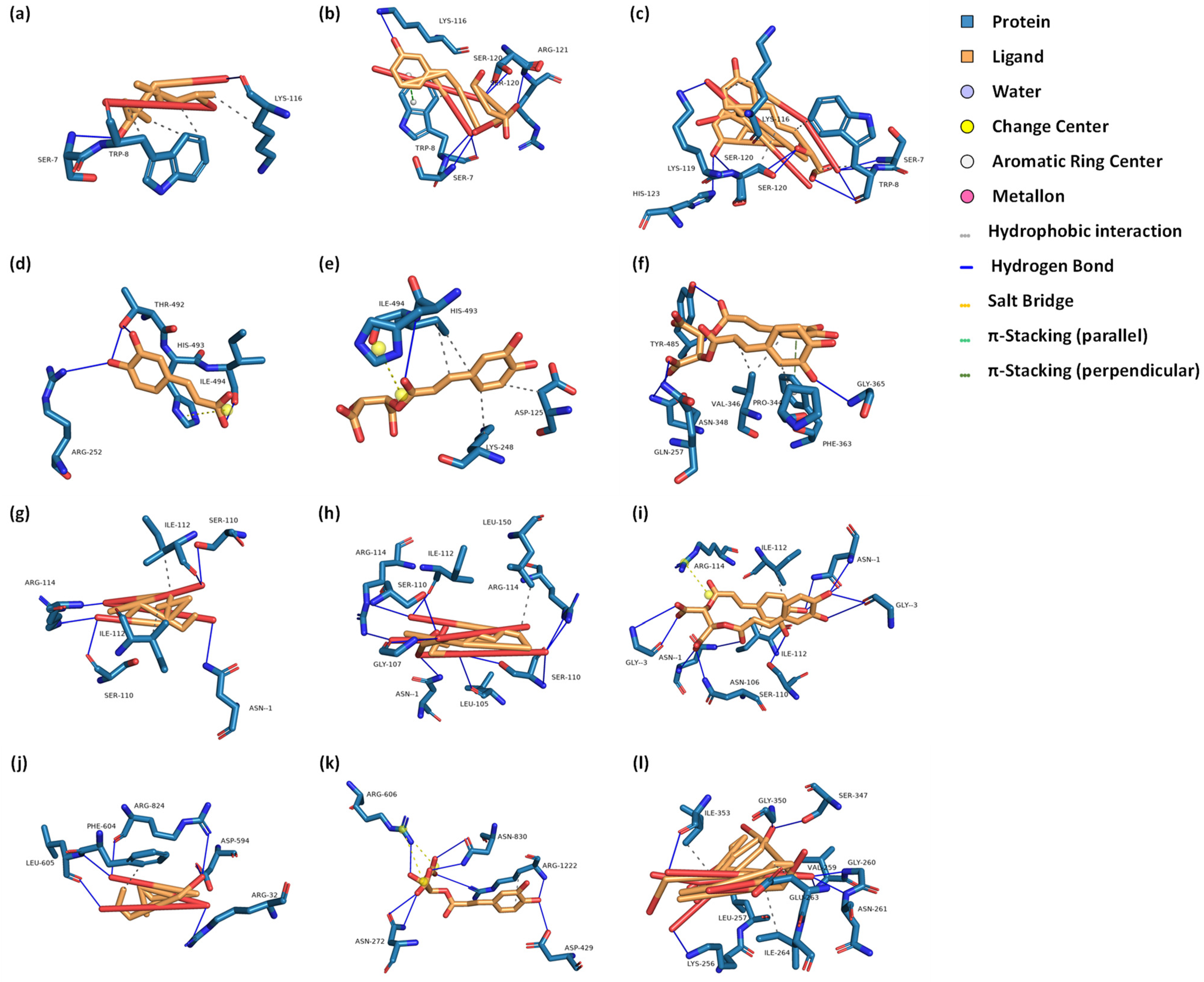 Molecules 29 02315 g004
