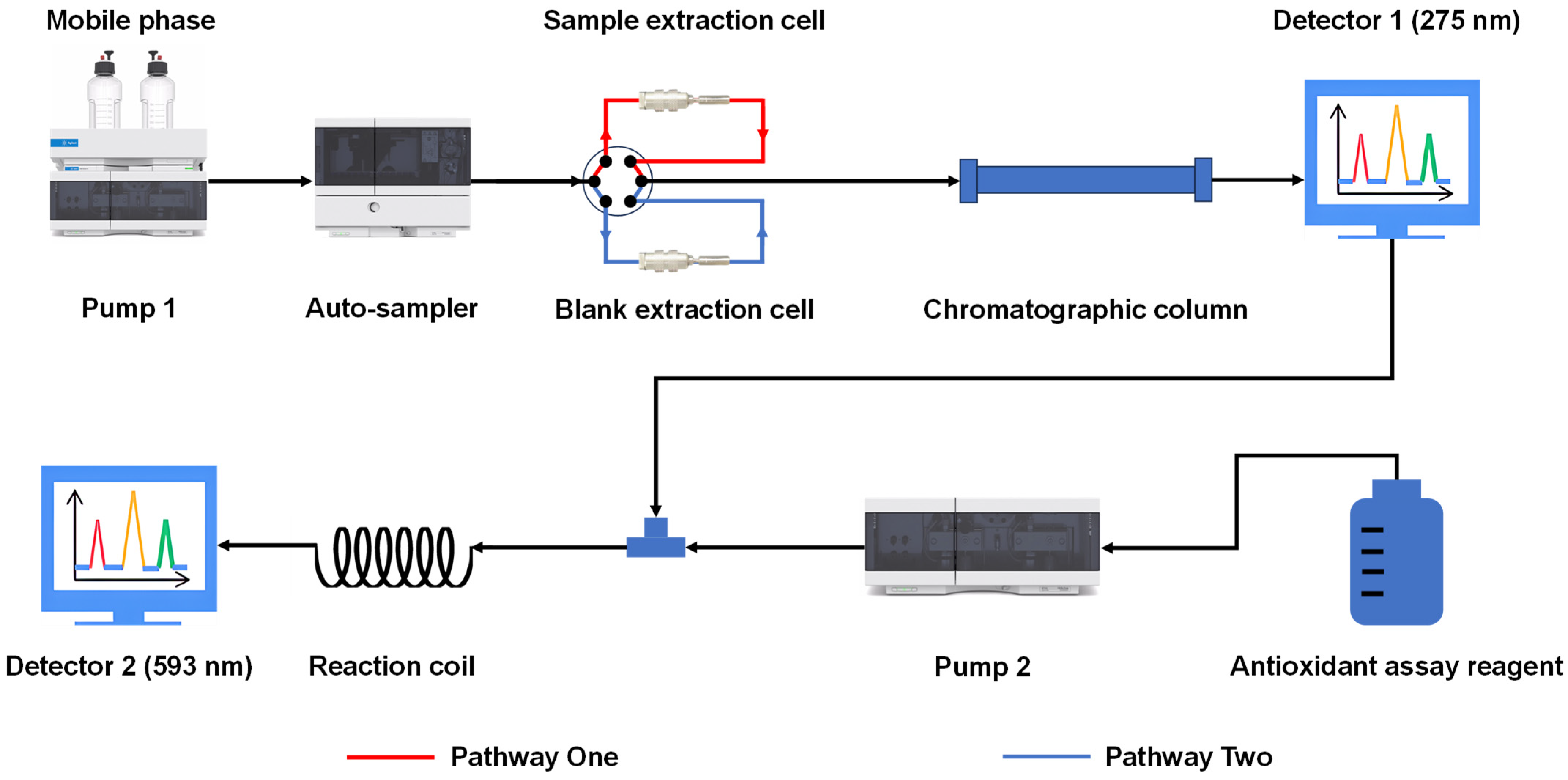 Molecules 29 02315 g005
