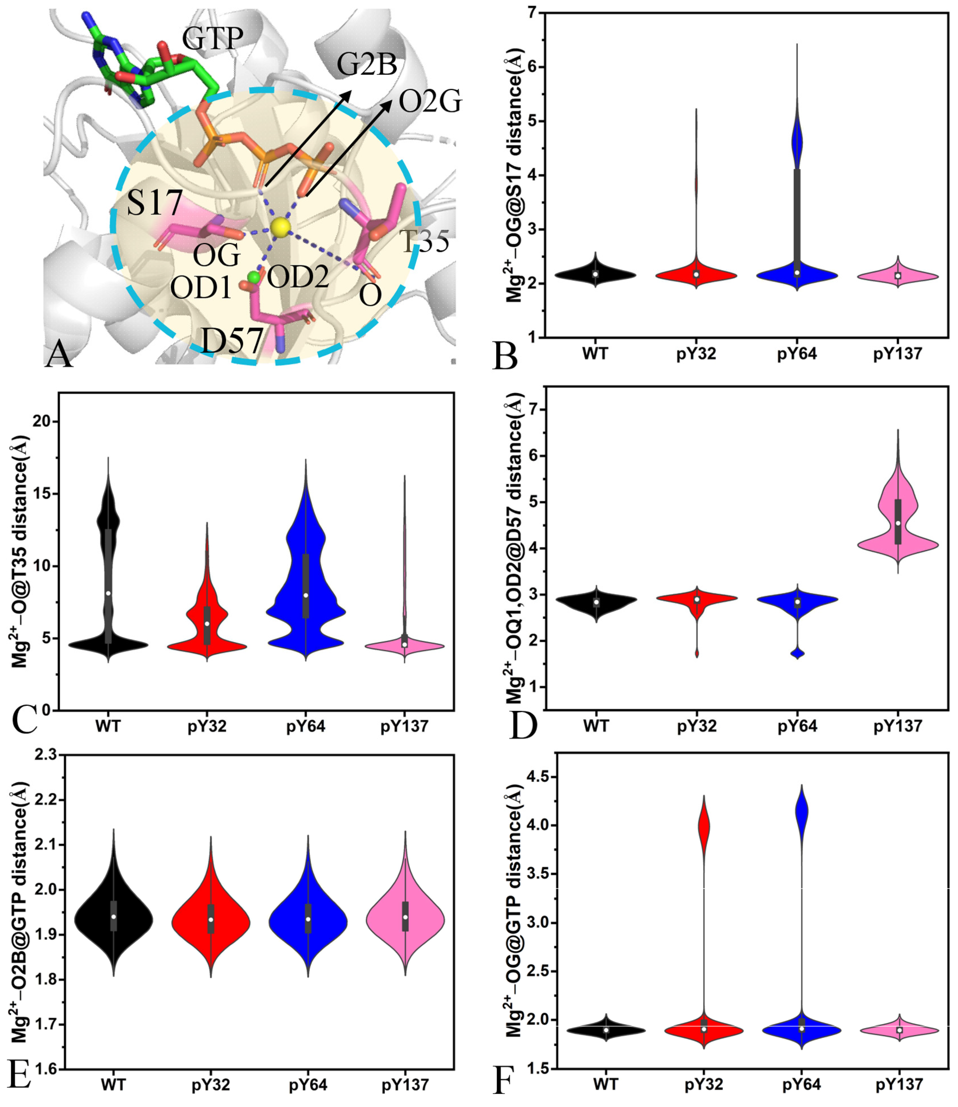 Molecules 29 02317 g011