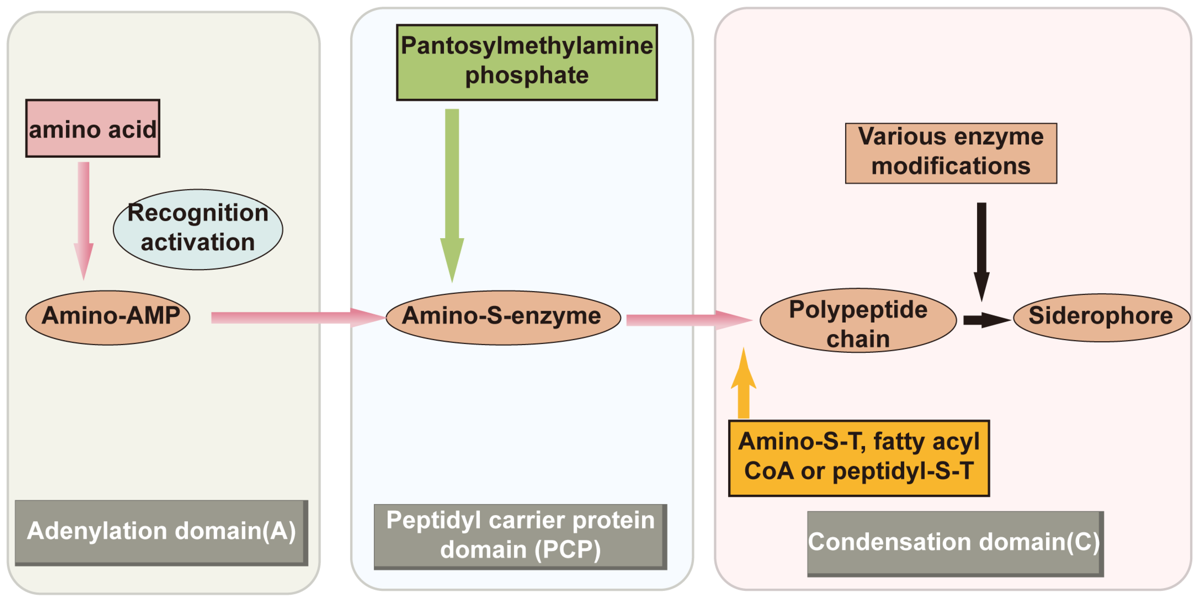 Molecules 29 02318 g001 Molecules 29 02318 g001