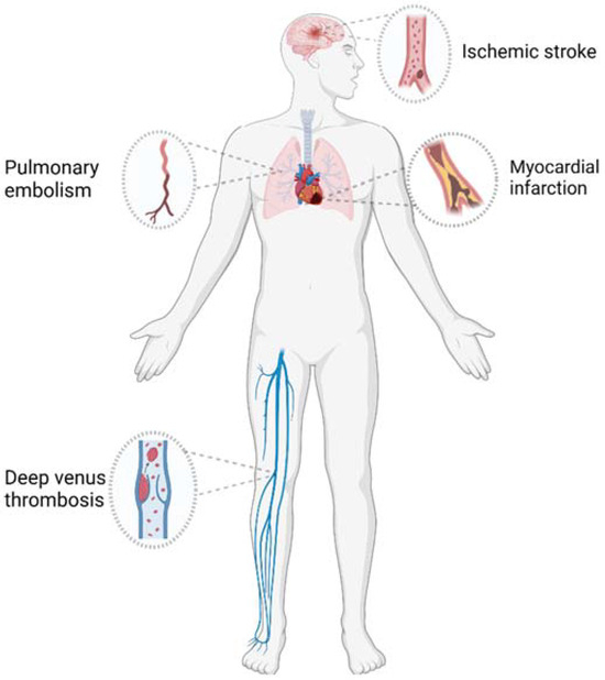 Advances in Nano-Functional Materials in Targeted