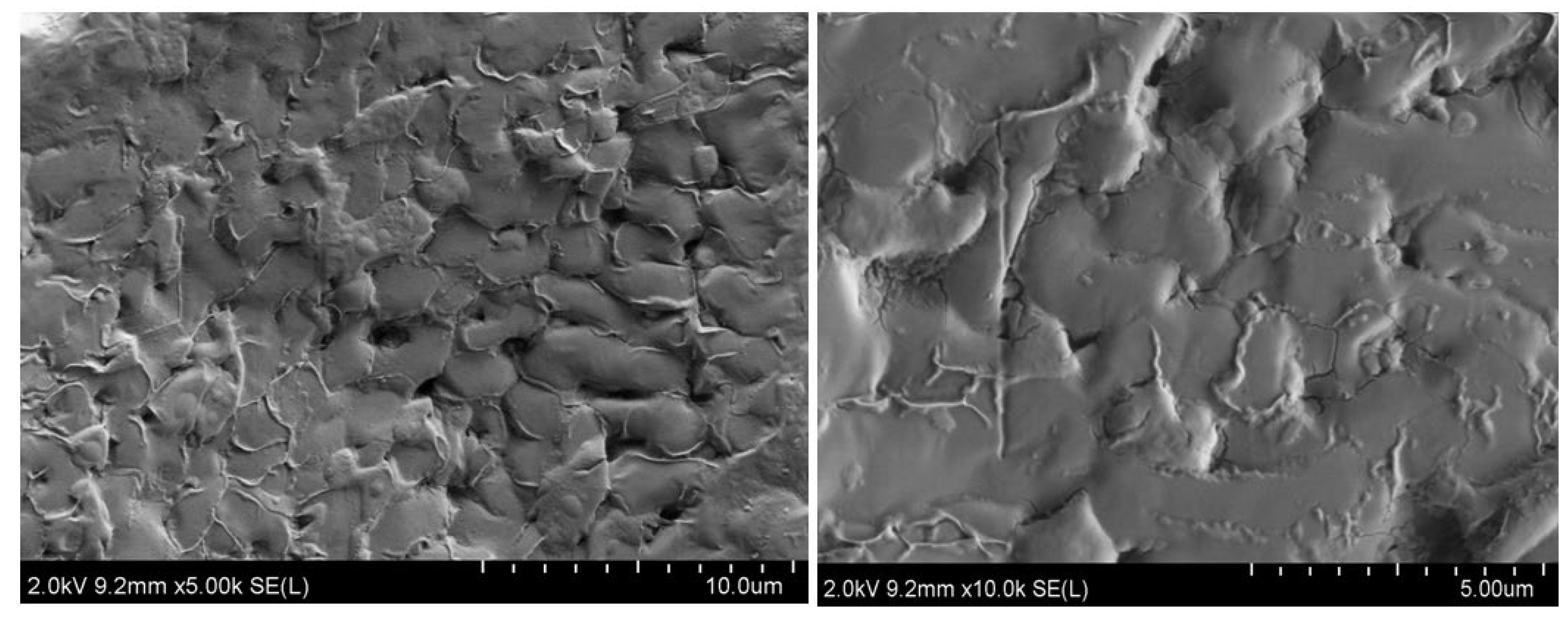 Molecules 29 02328 g013
