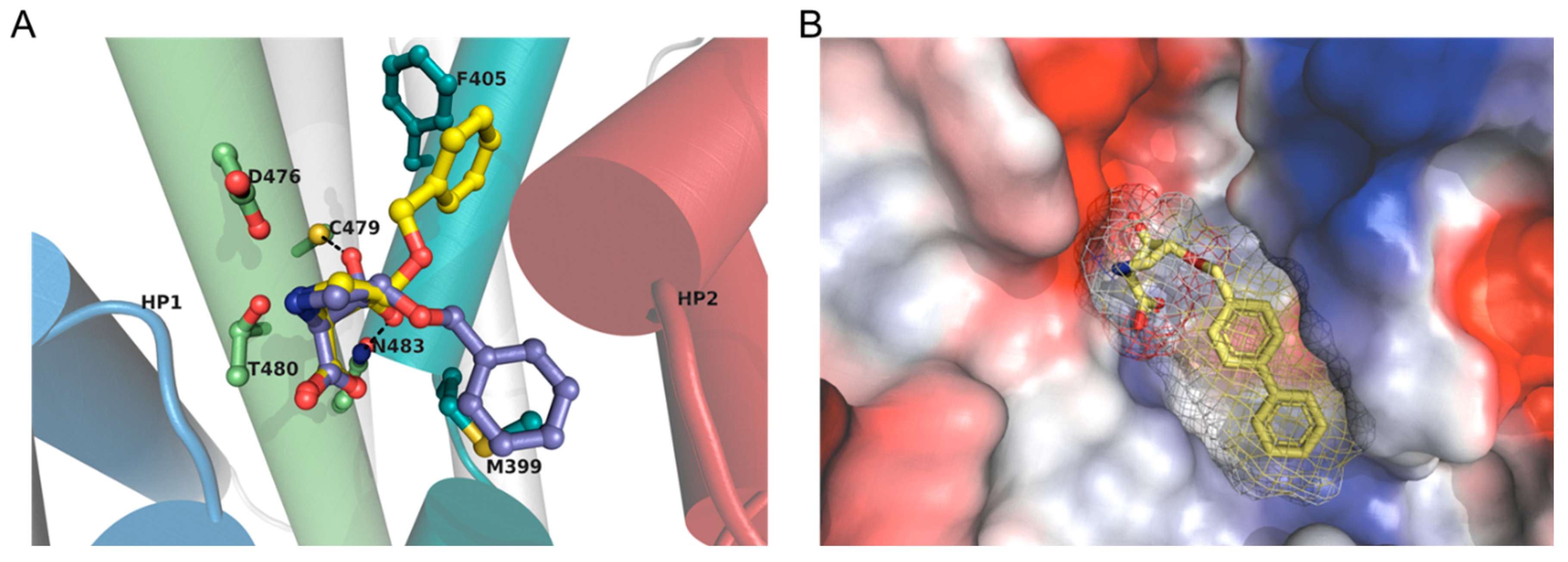 Molecules 29 02330 g005