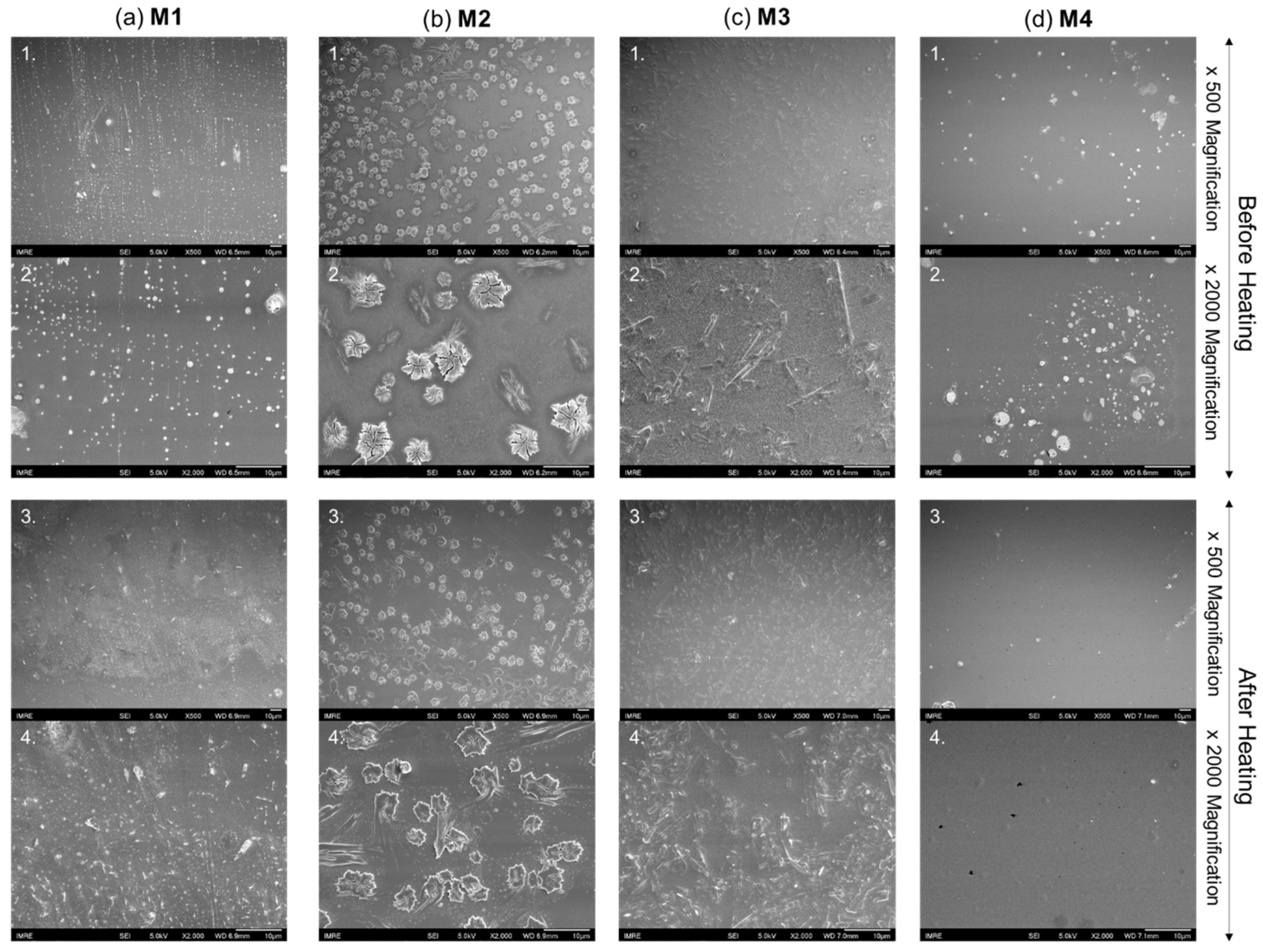 Molecules 29 02340 g002