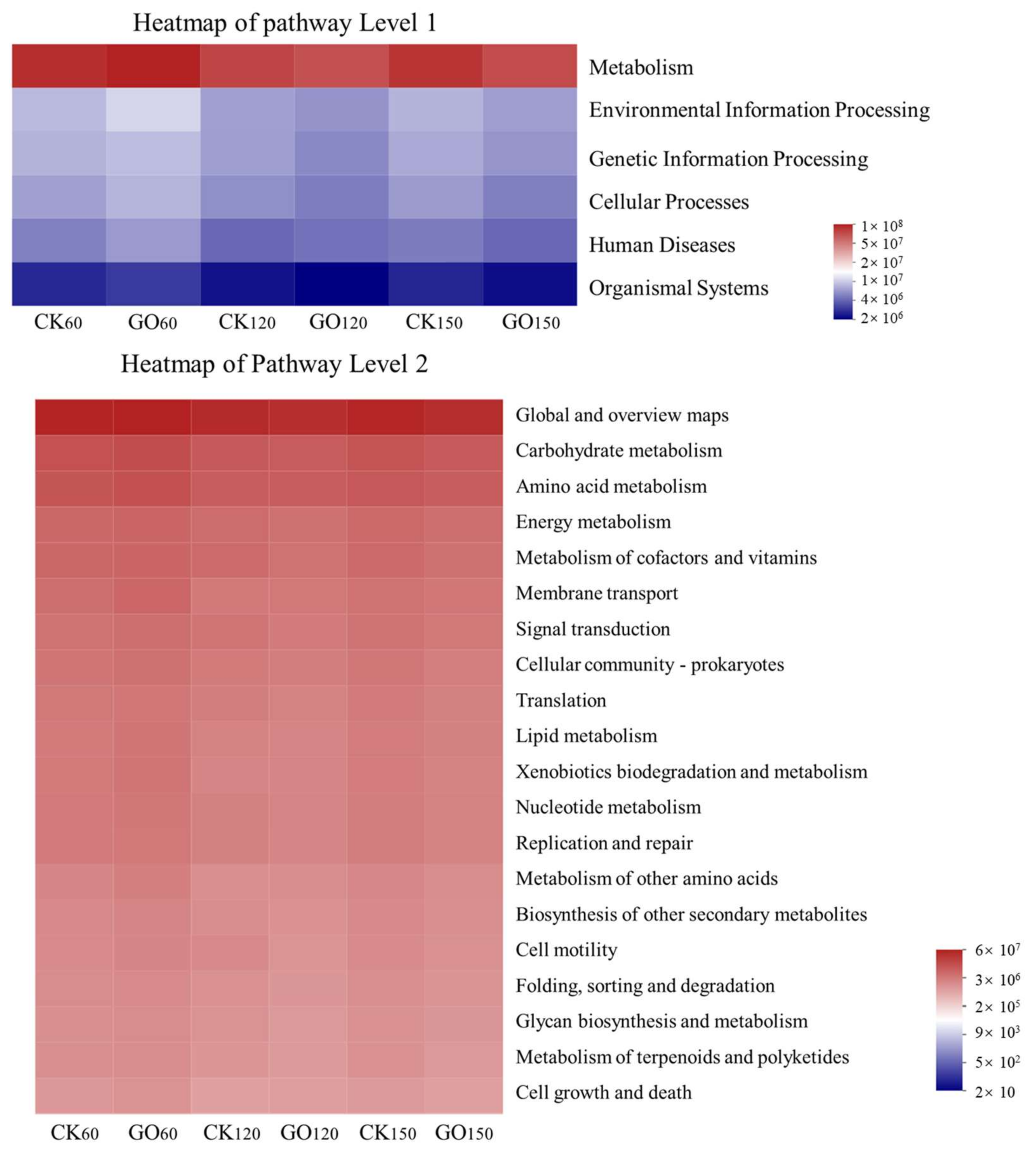 Molecules 29 02342 g004