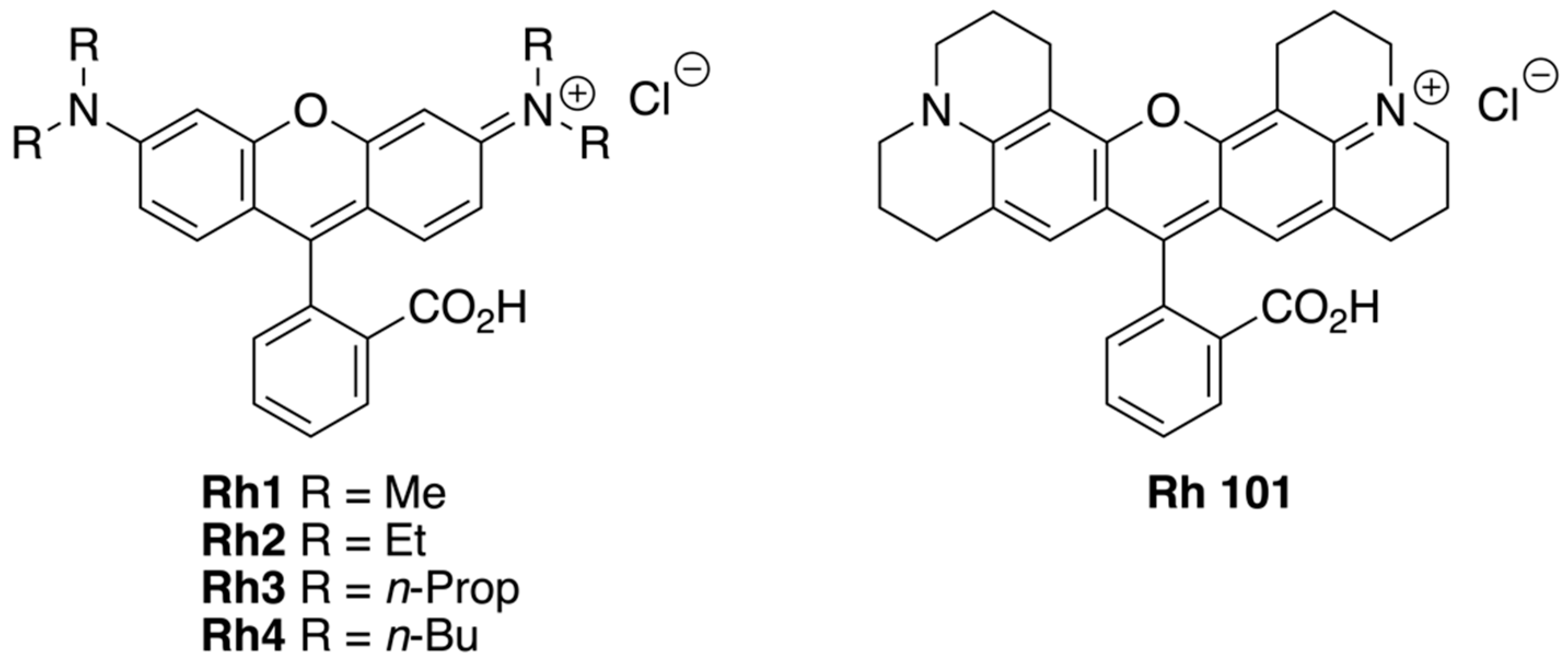 Molecules 29 02346 g001