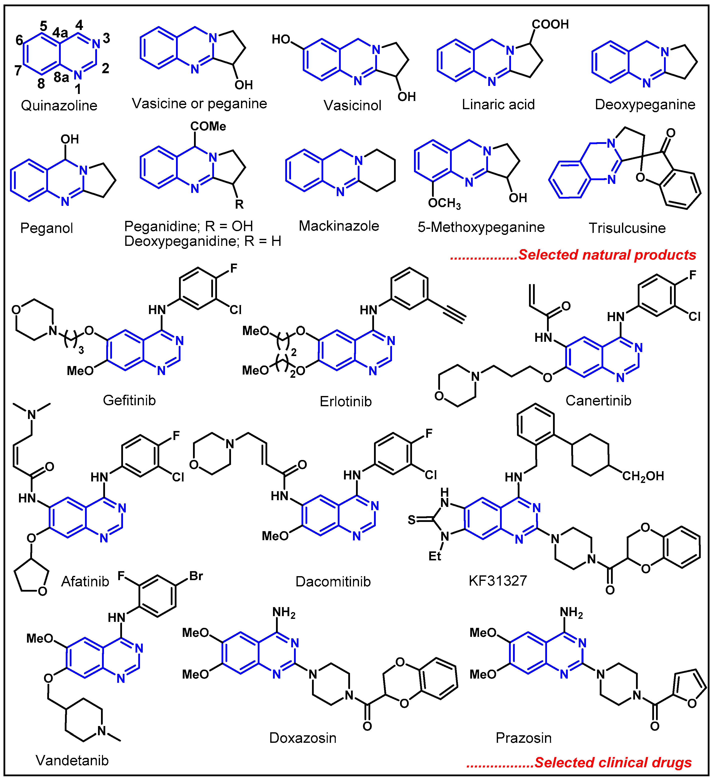 Molecules 29 02353 g001