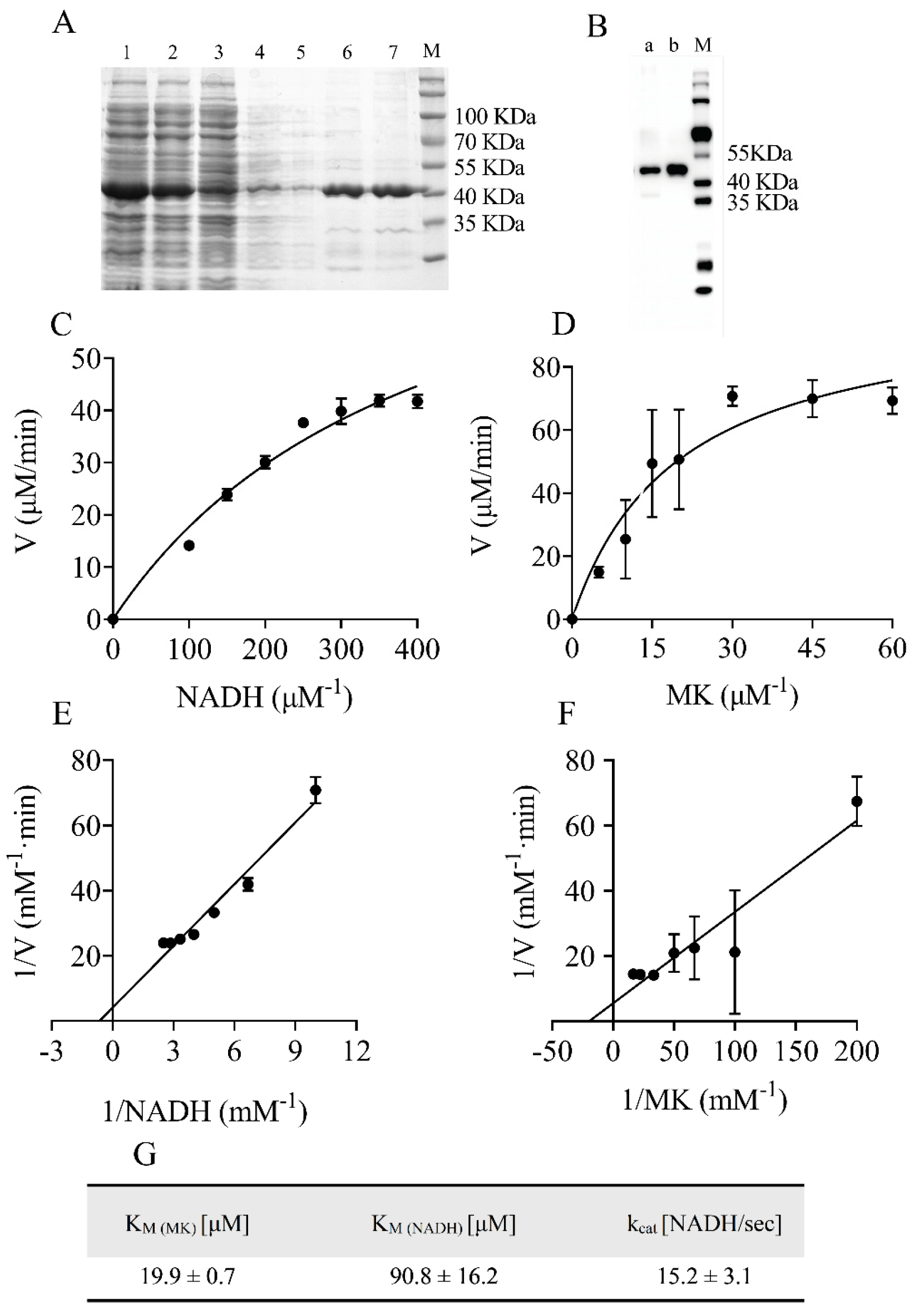 Molecules 29 02354 g002