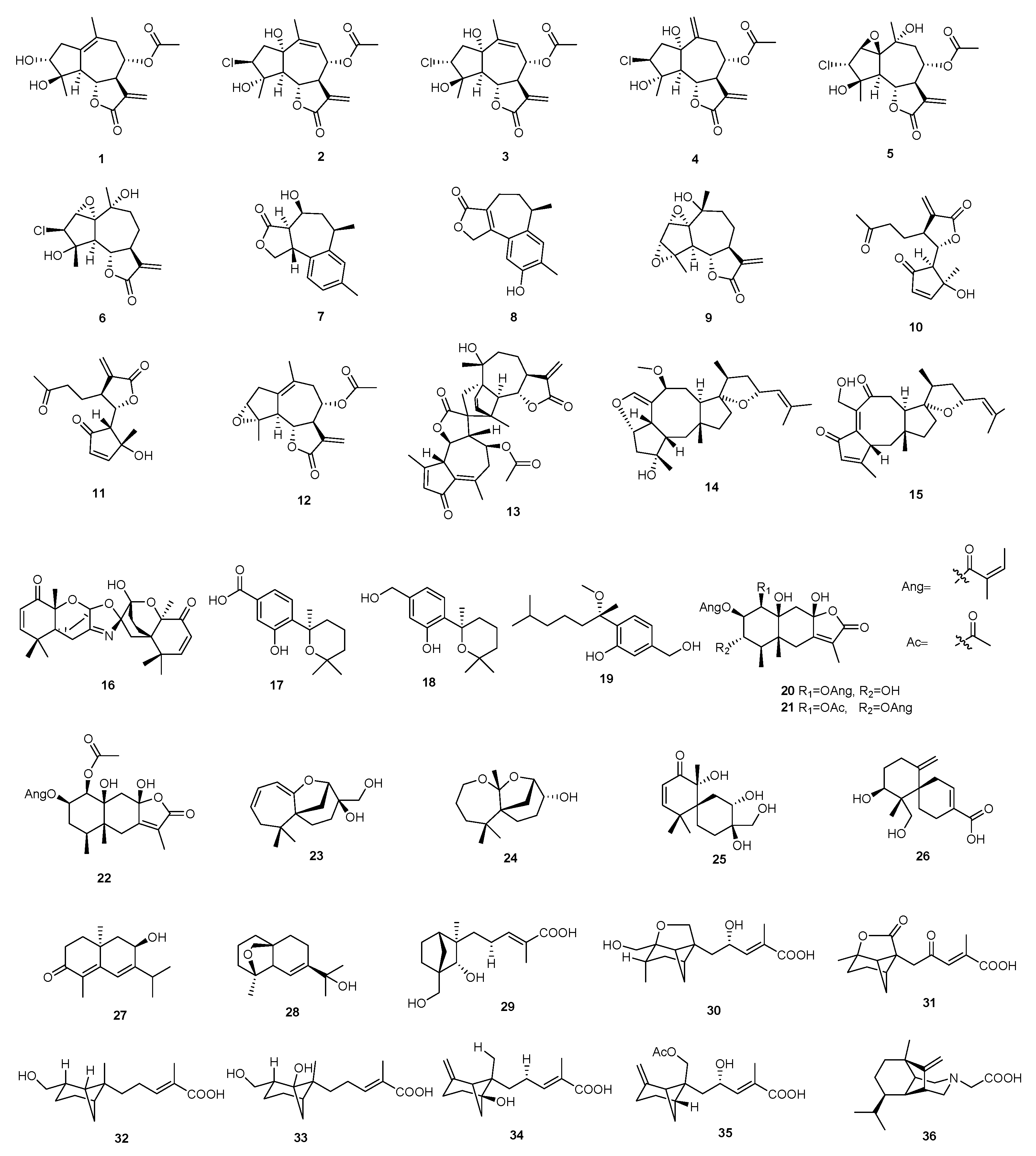 Molecules 29 02359 g001