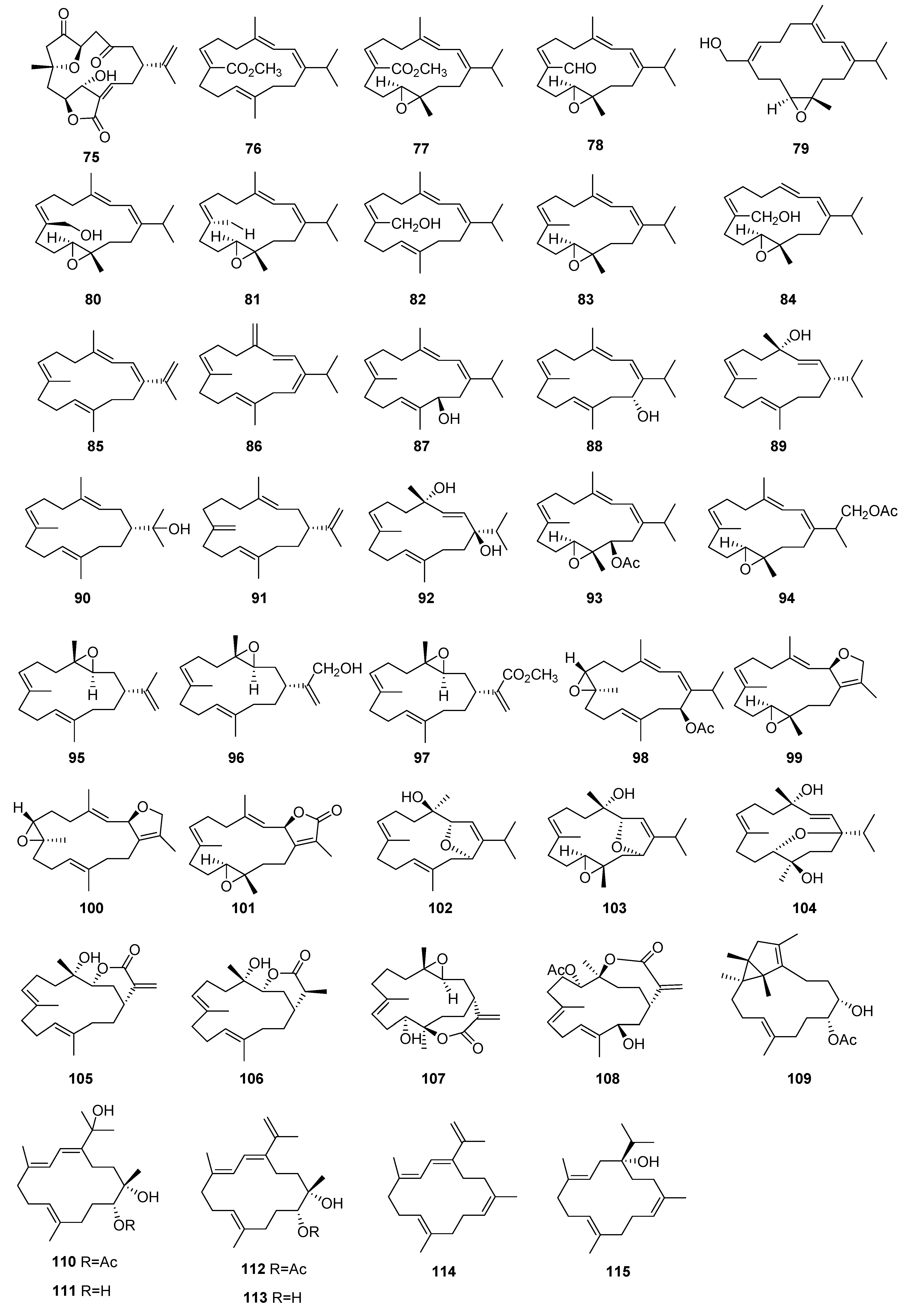 Molecules 29 02359 g003