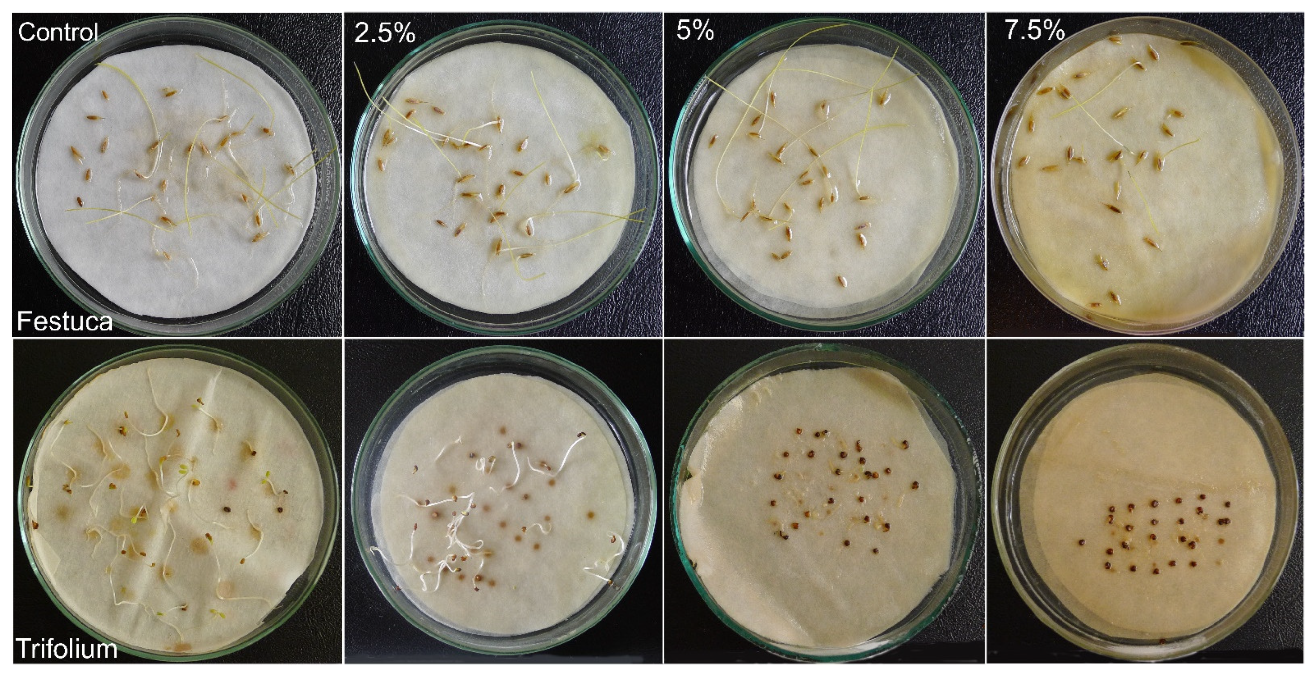Molecules 29 02365 g004 Molecules 29 02365 g004