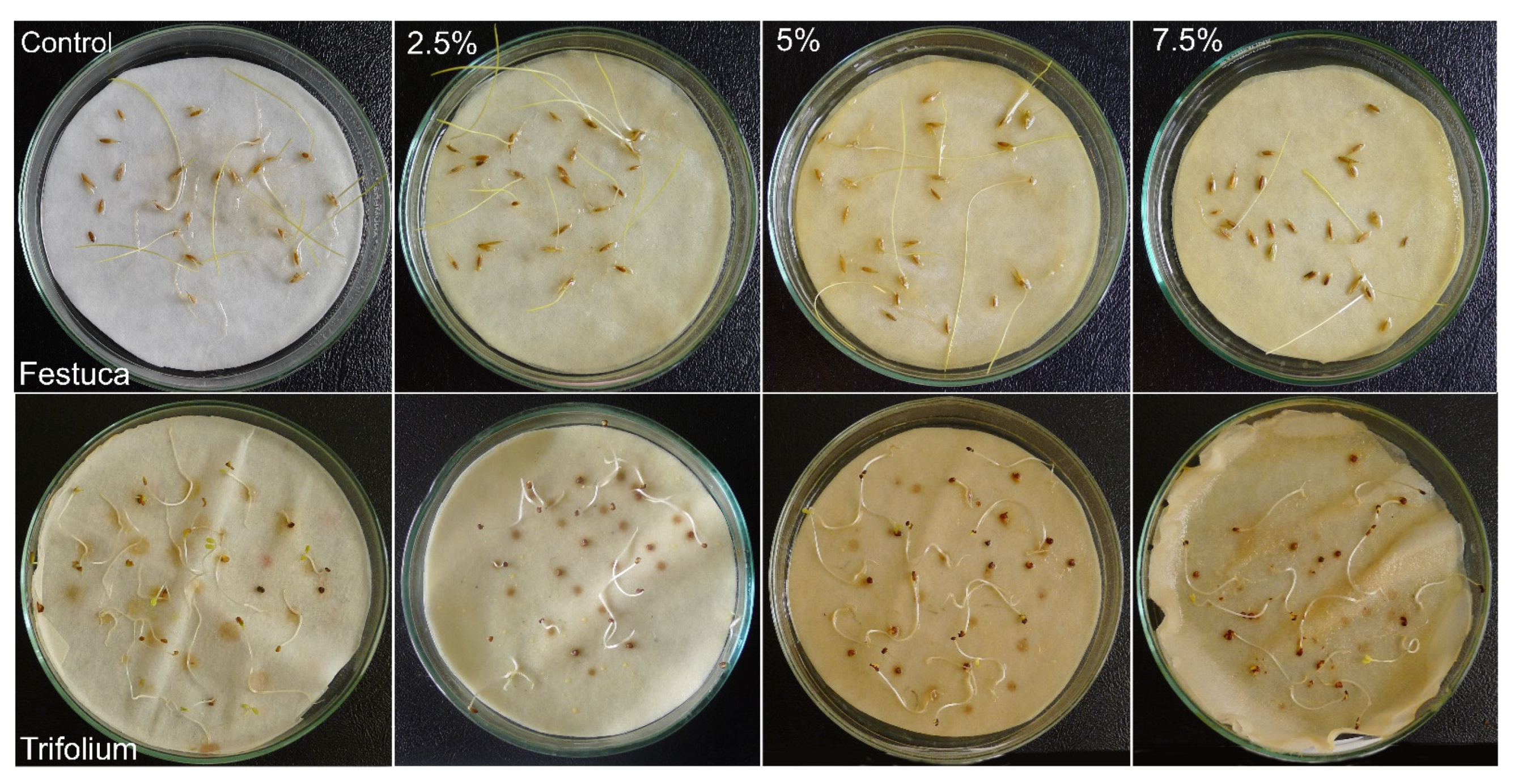 Molecules 29 02365 g005 Molecules 29 02365 g005