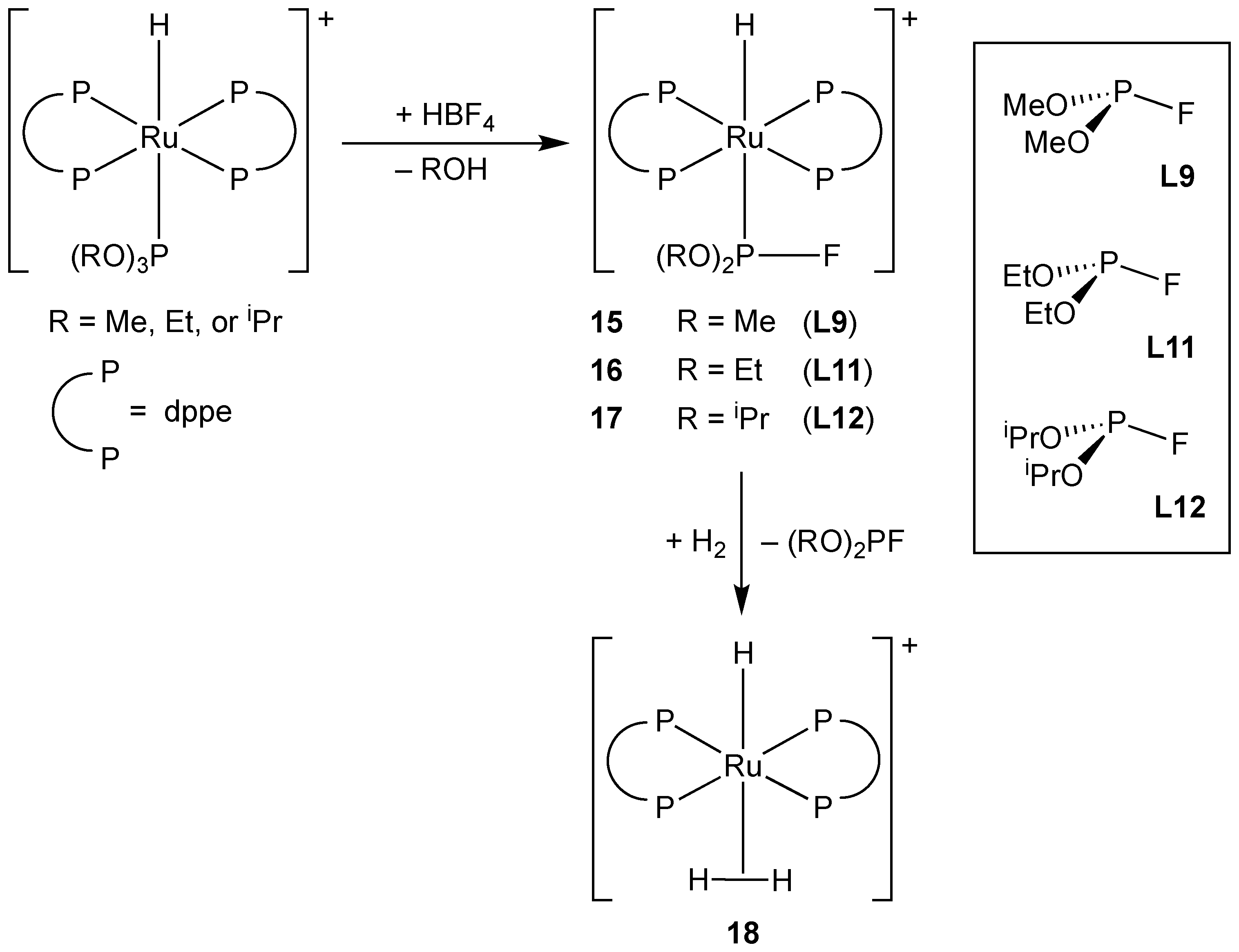Molecules 29 02368 sch005