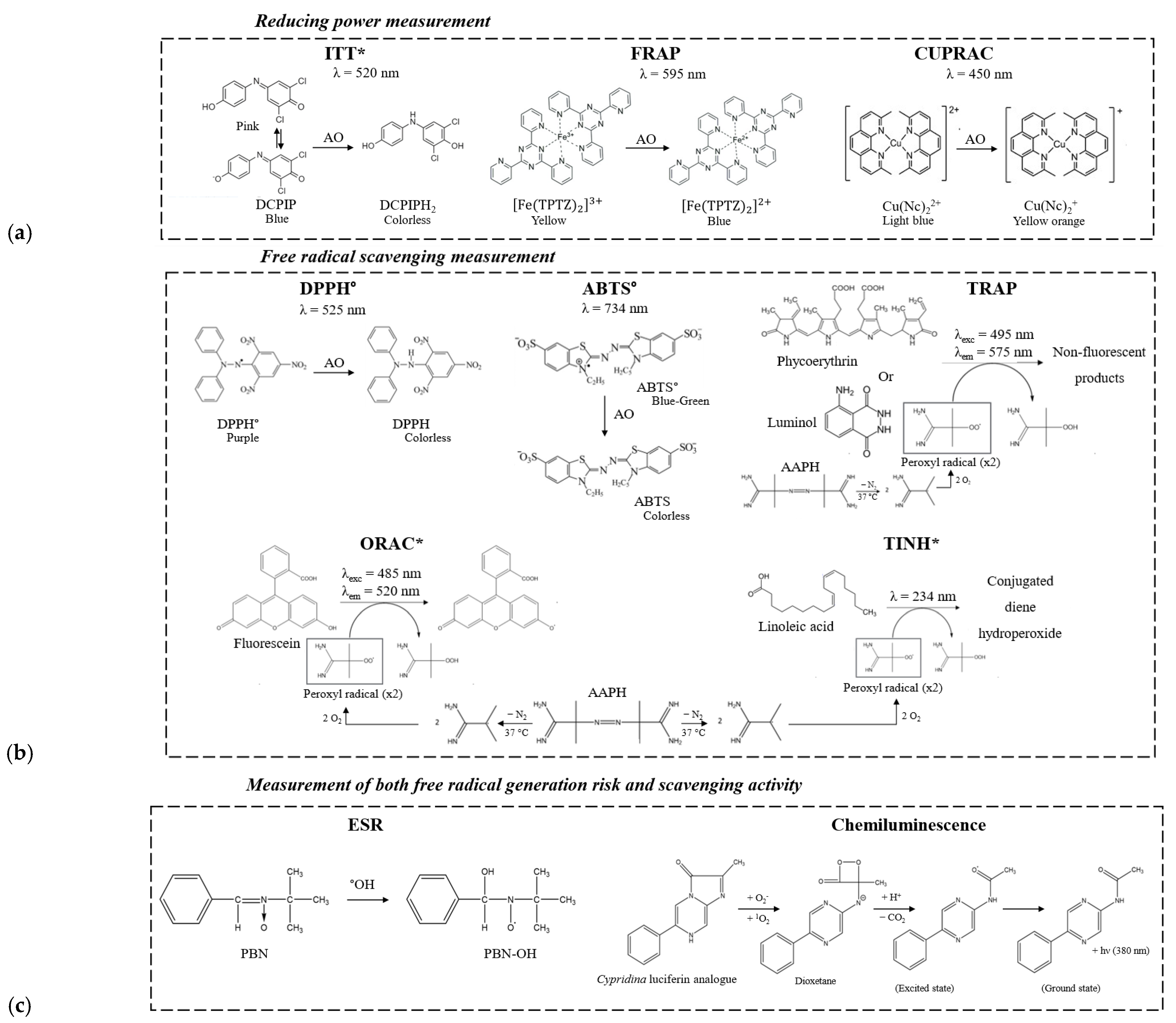 Molecules 29 02370 g001