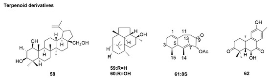 Mii Natural Product-Derived Phytochemicals for Influenza A Virus