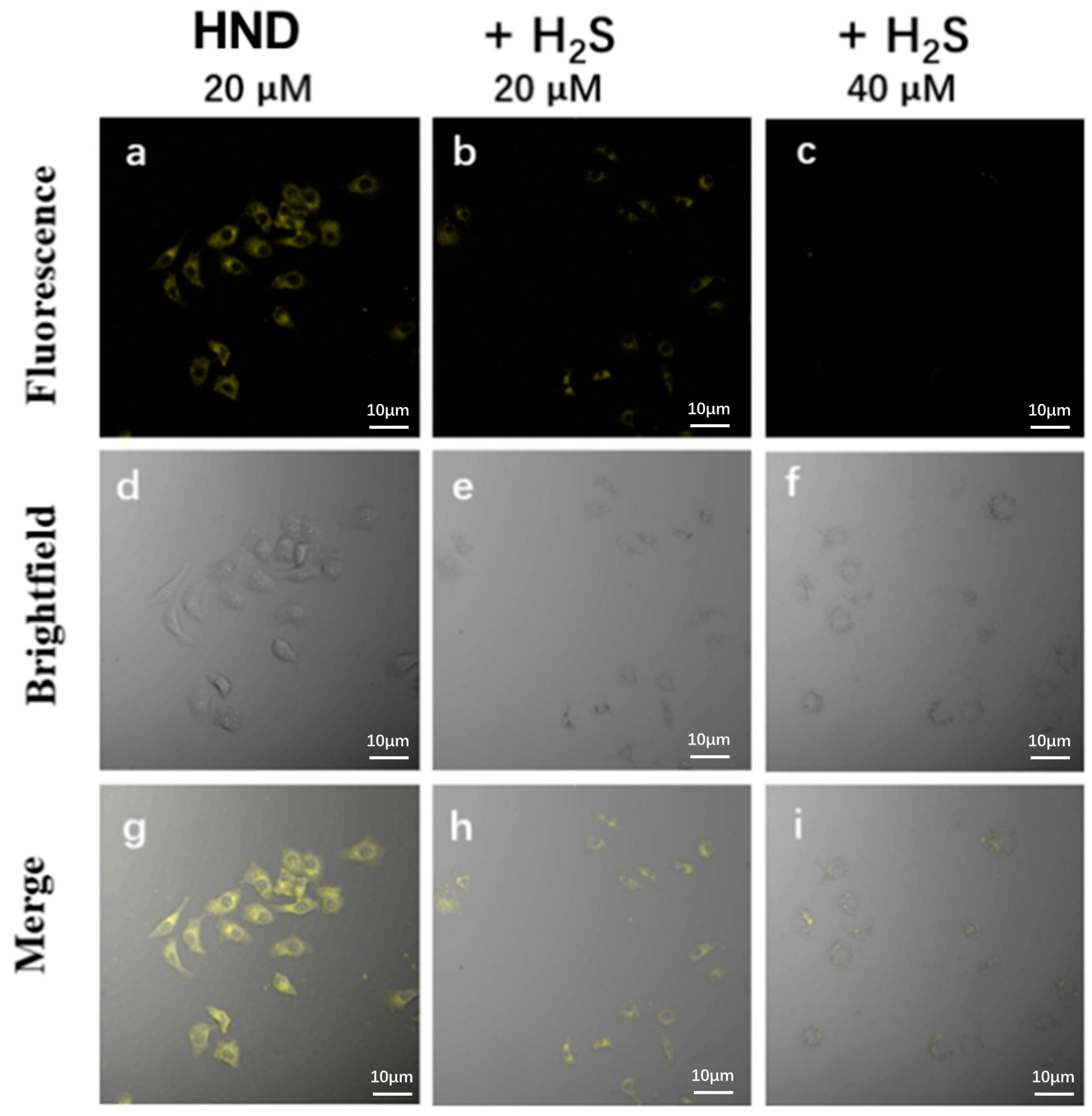 Molecules 29 02386 g006