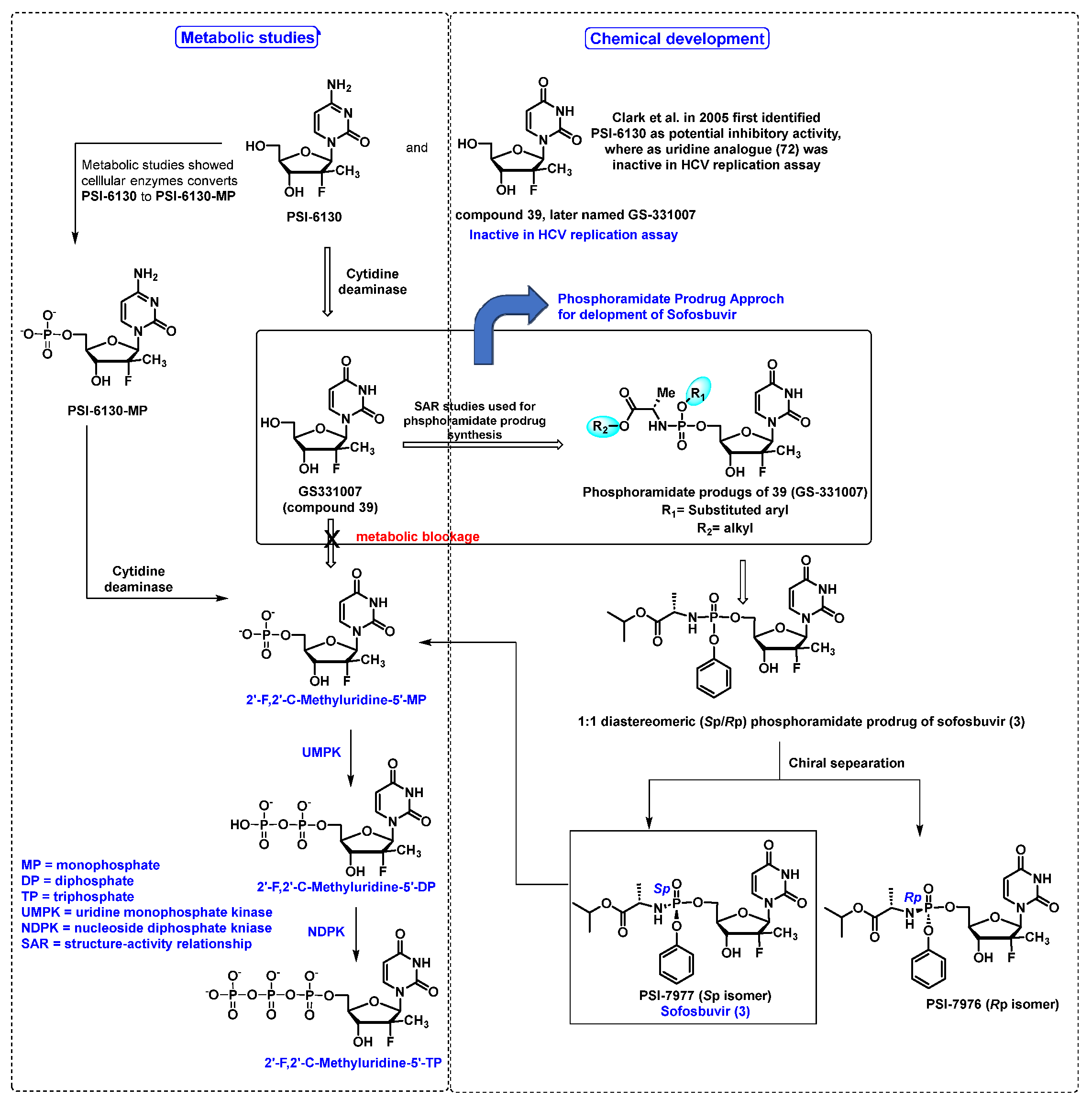Molecules 29 02390 g004 Molecules 29 02390 g004