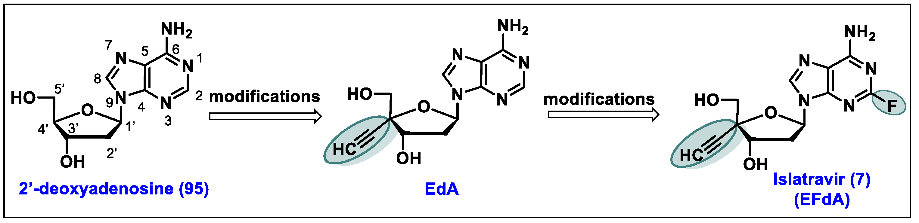 Molecules 29 02390 g005 Molecules 29 02390 g005