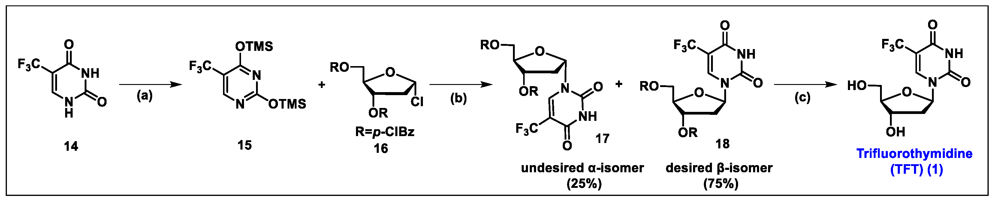 Molecules 29 02390 sch001 Molecules 29 02390 sch001