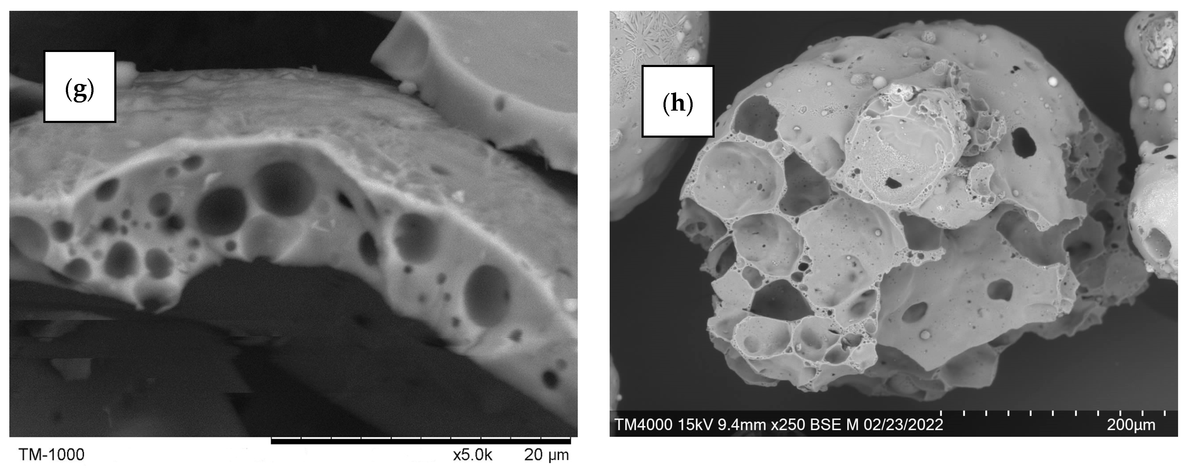 Molecules 29 02391 g006b