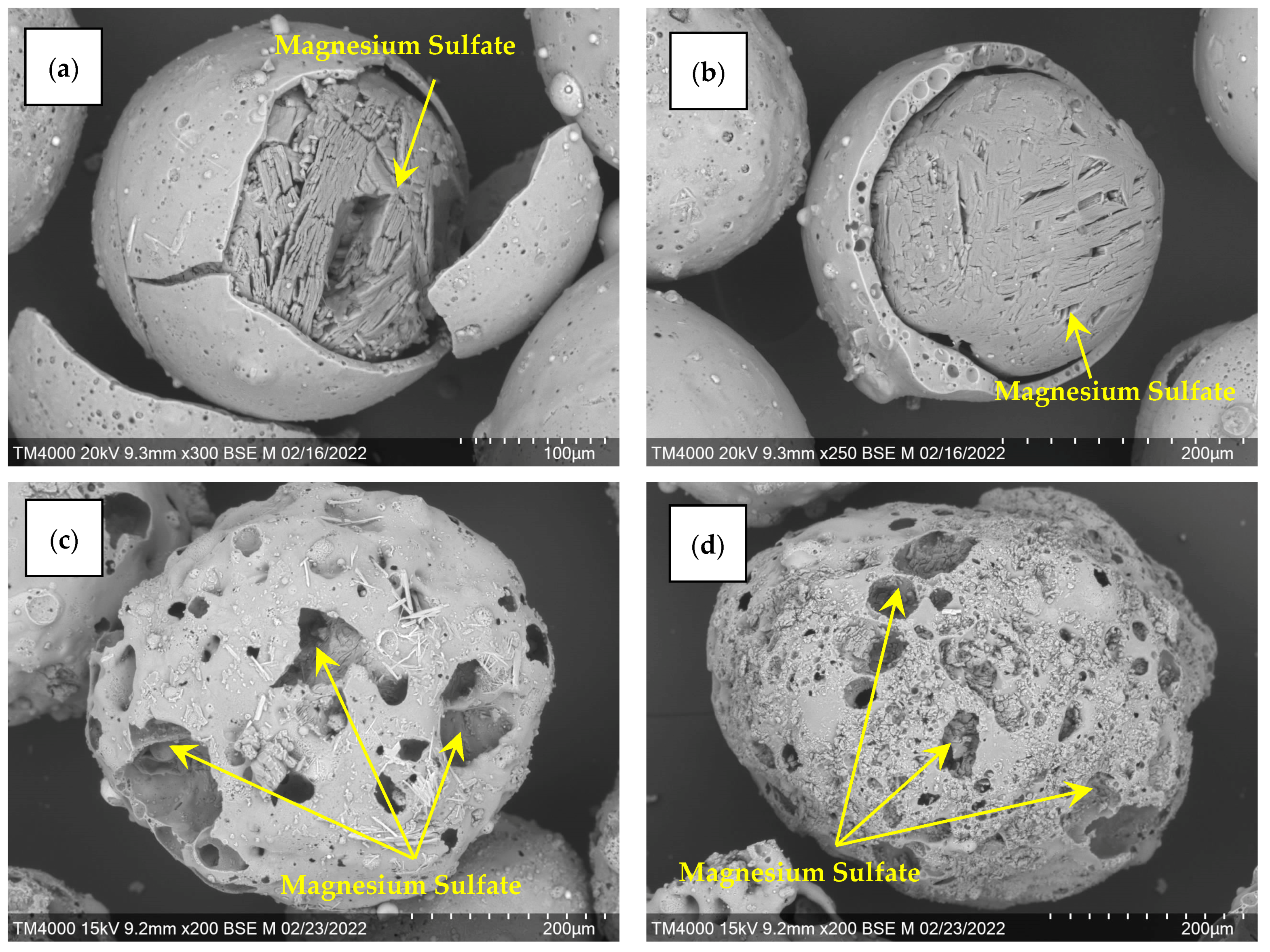 Molecules 29 02391 g007
