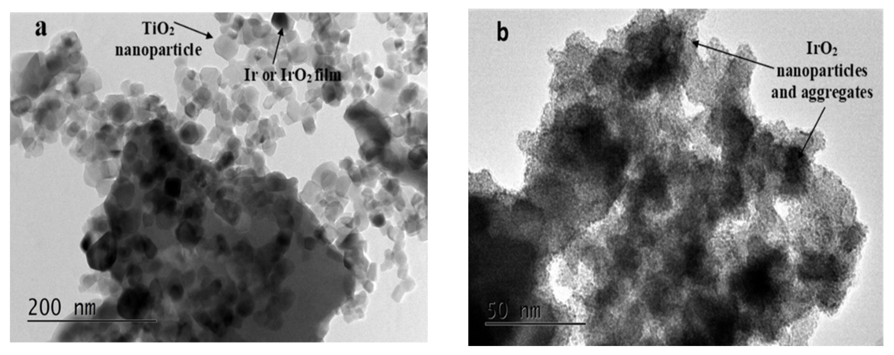 Molecules 29 02392 g004