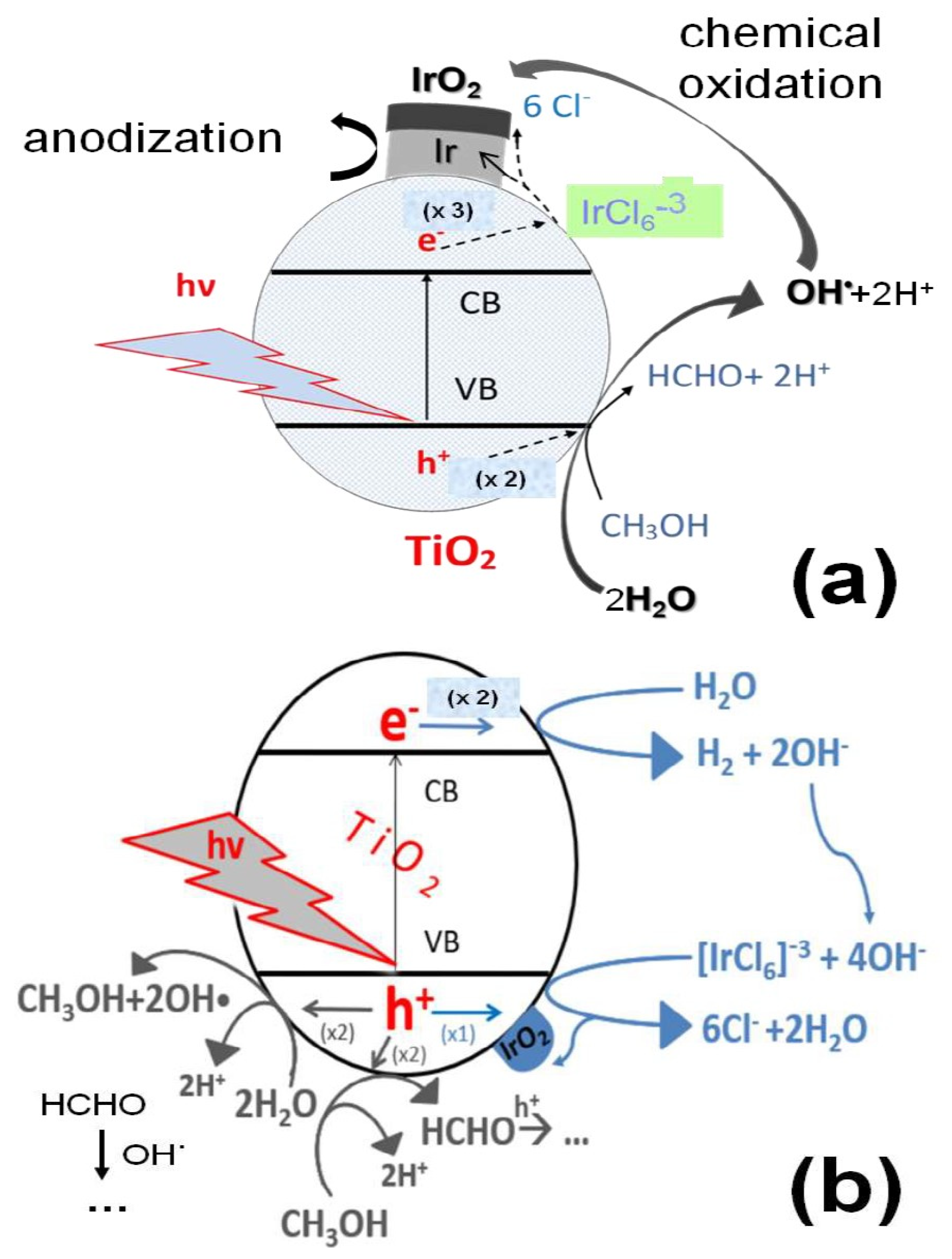 Molecules 29 02392 g012