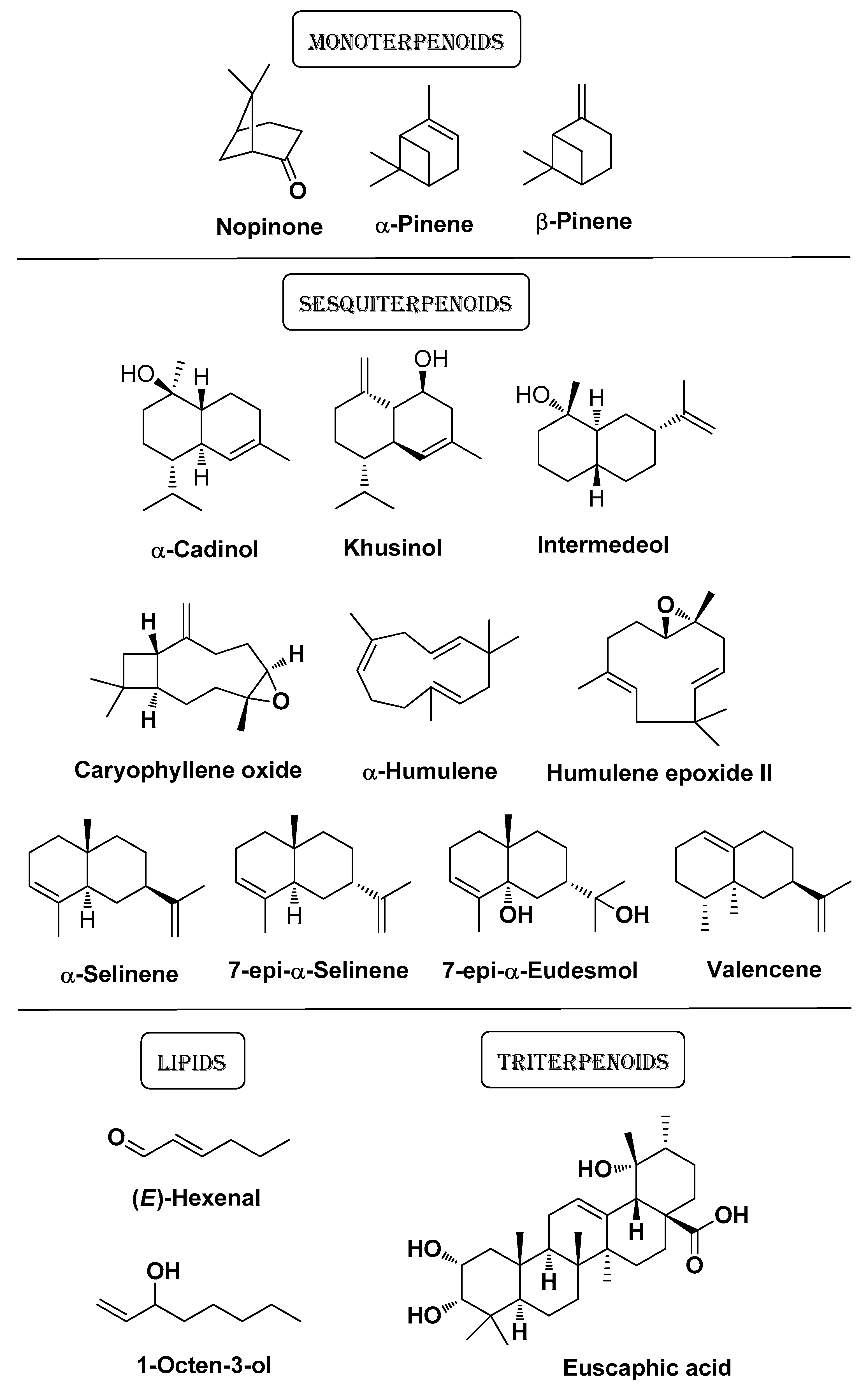 Molecules 29 02394 g005