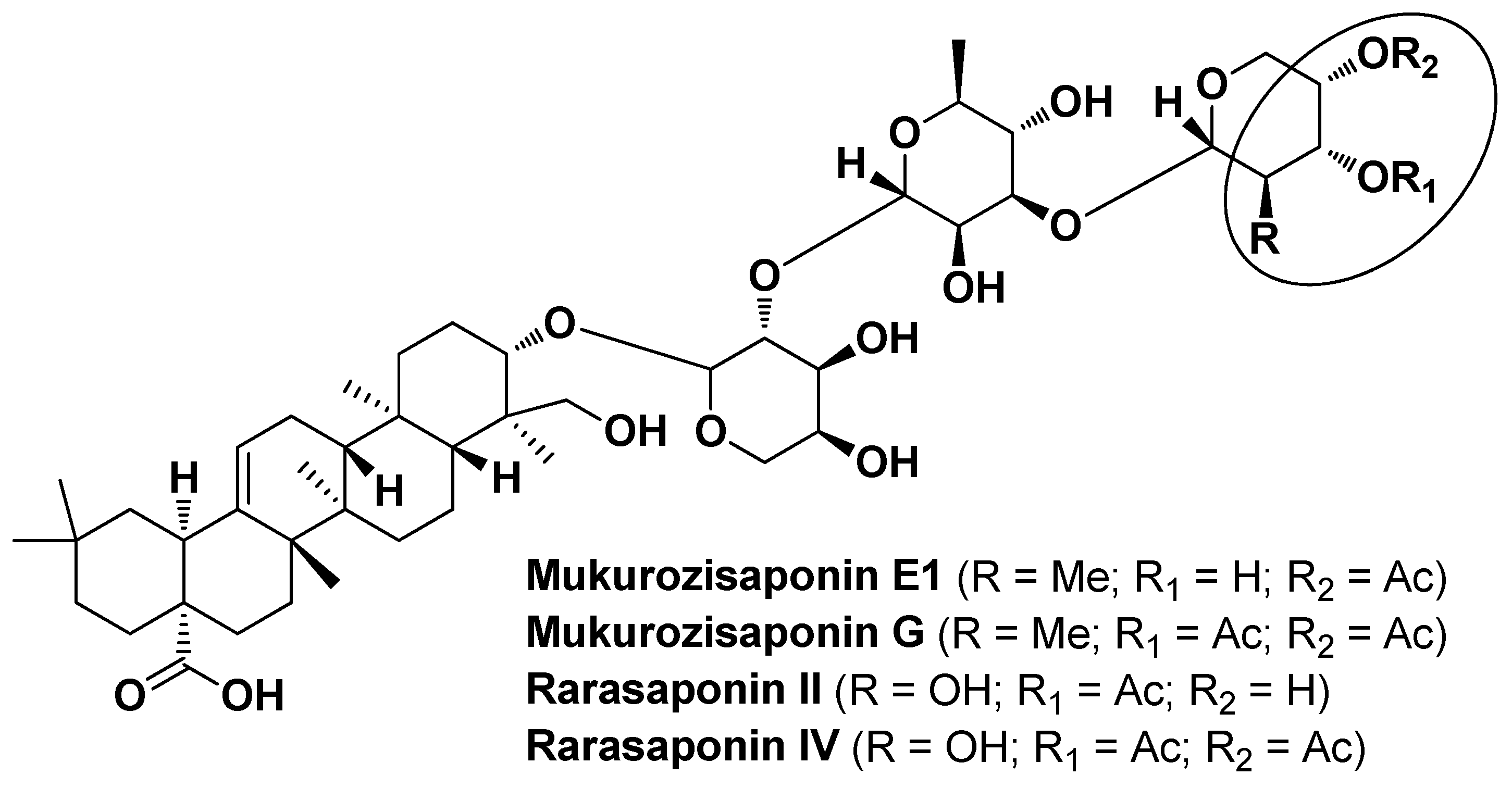 Molecules 29 02394 g021