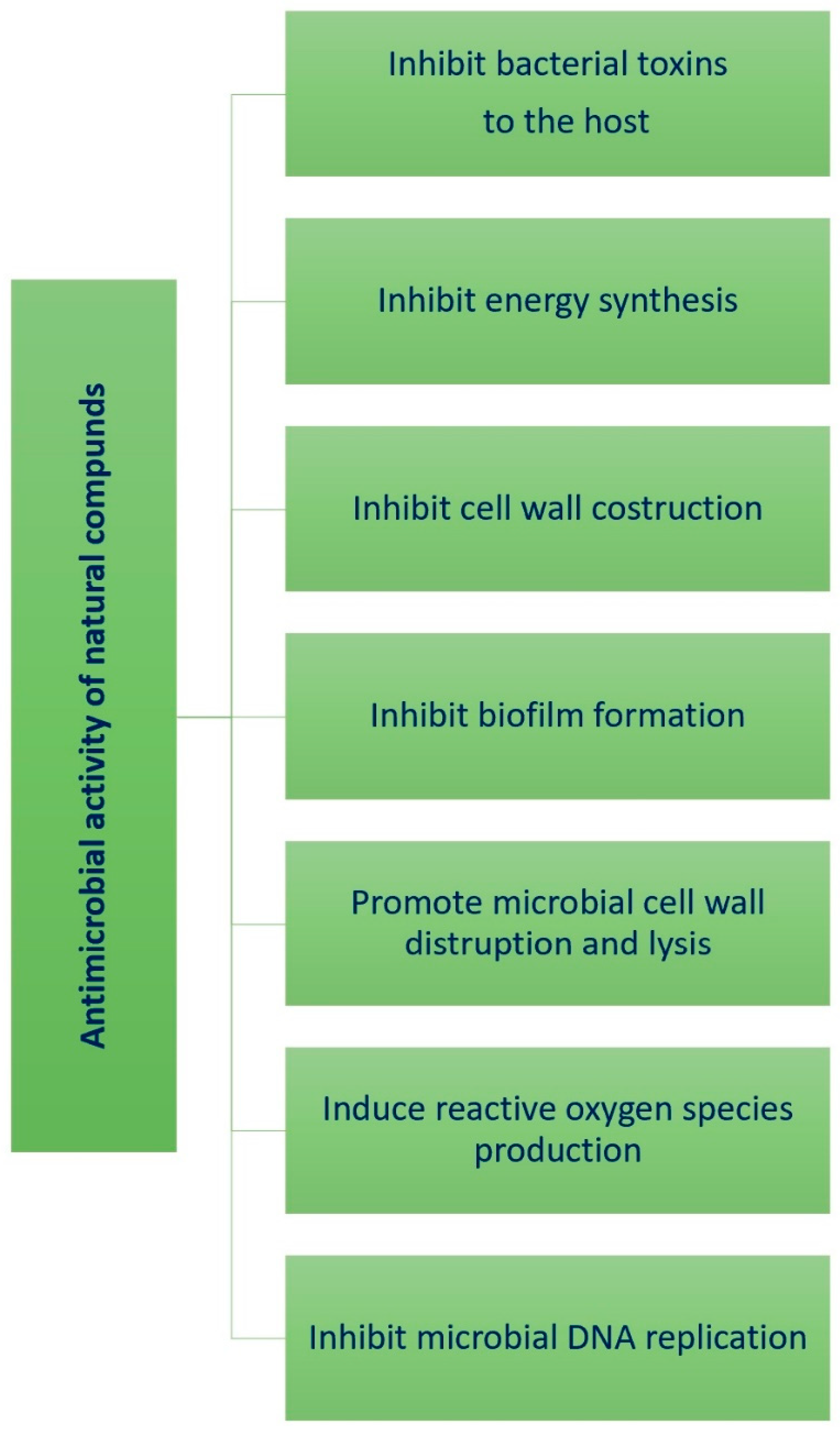 Molecules 29 02394 g026