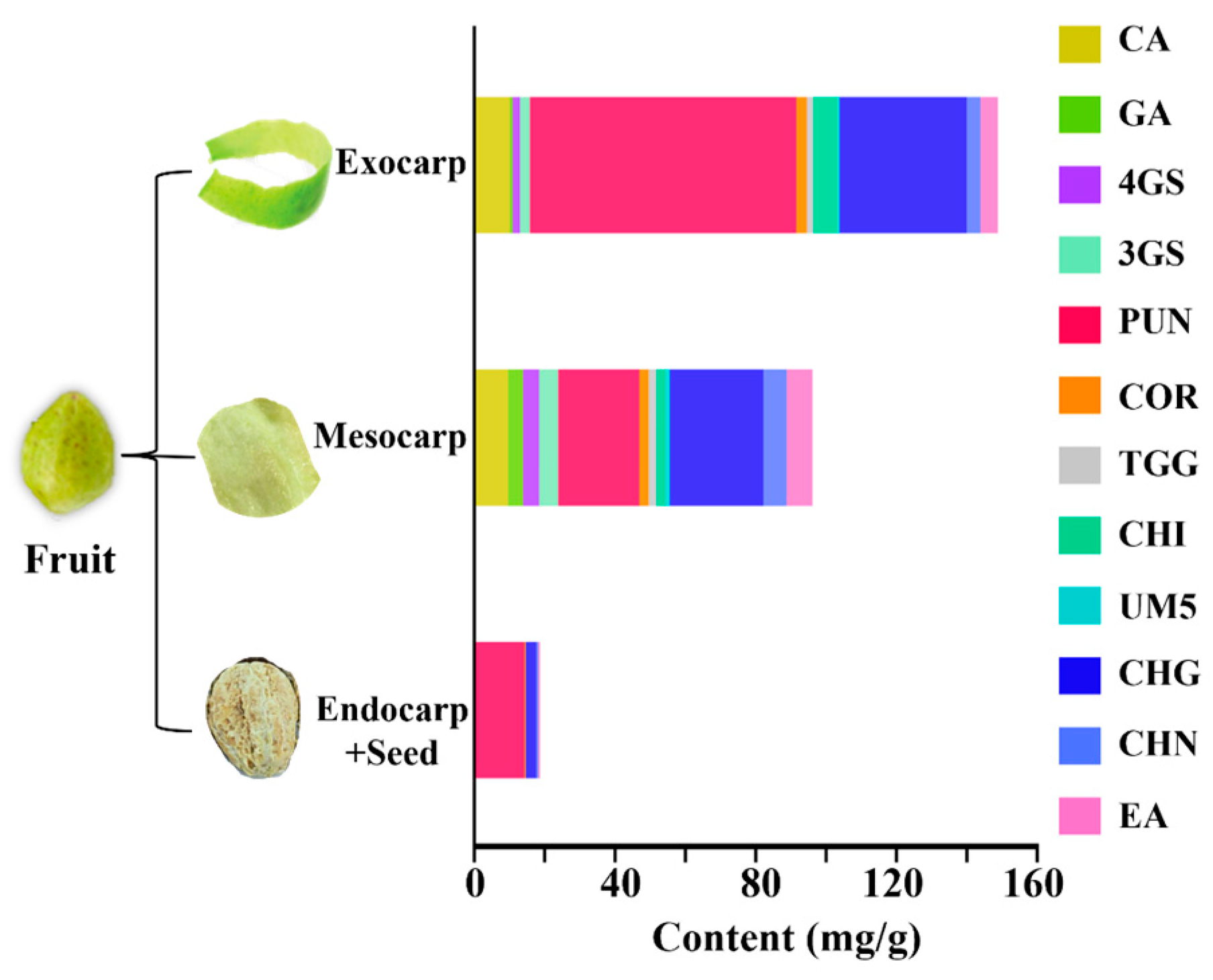 Molecules 29 02399 g003