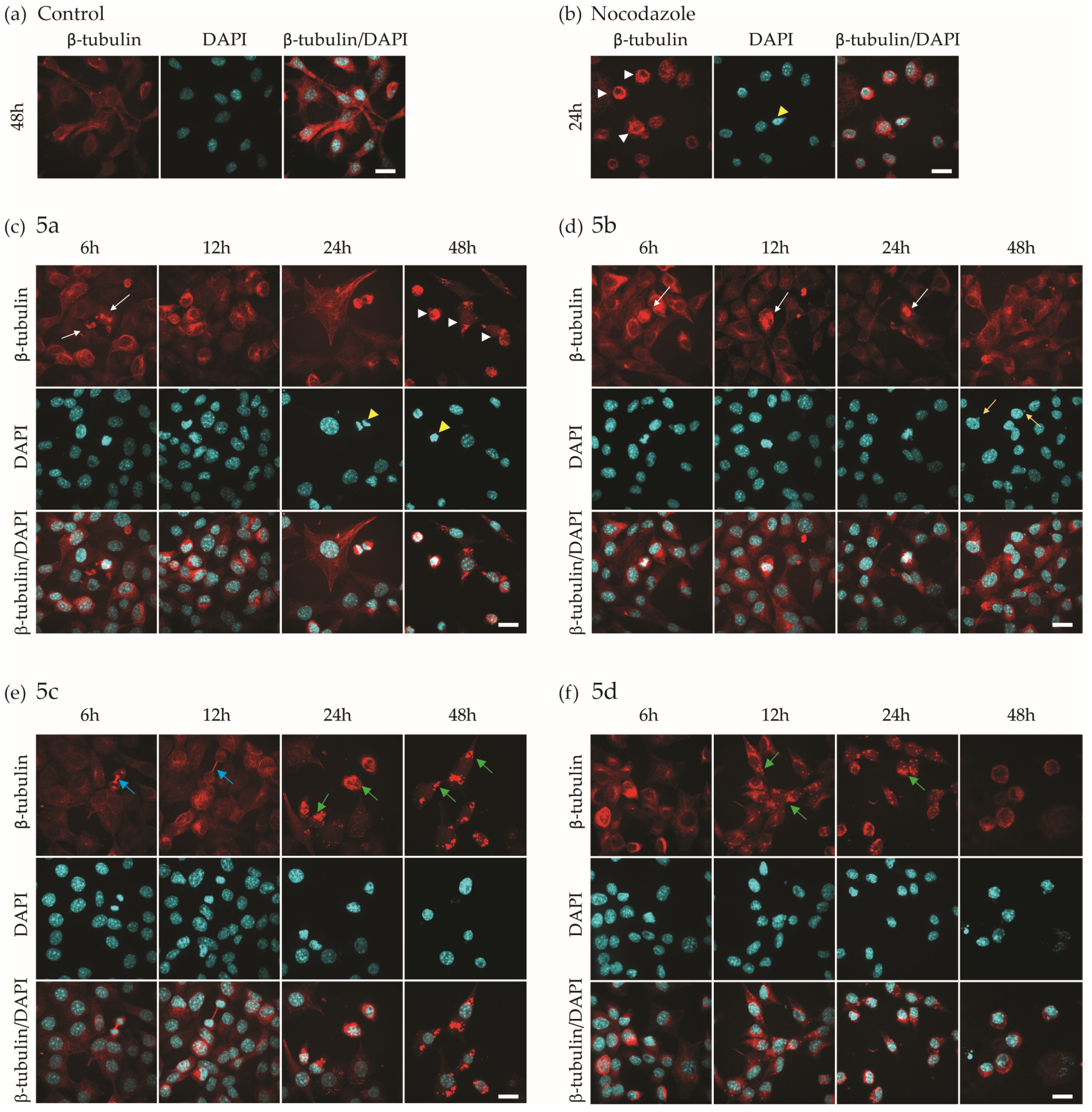 Molecules 29 02400 g004